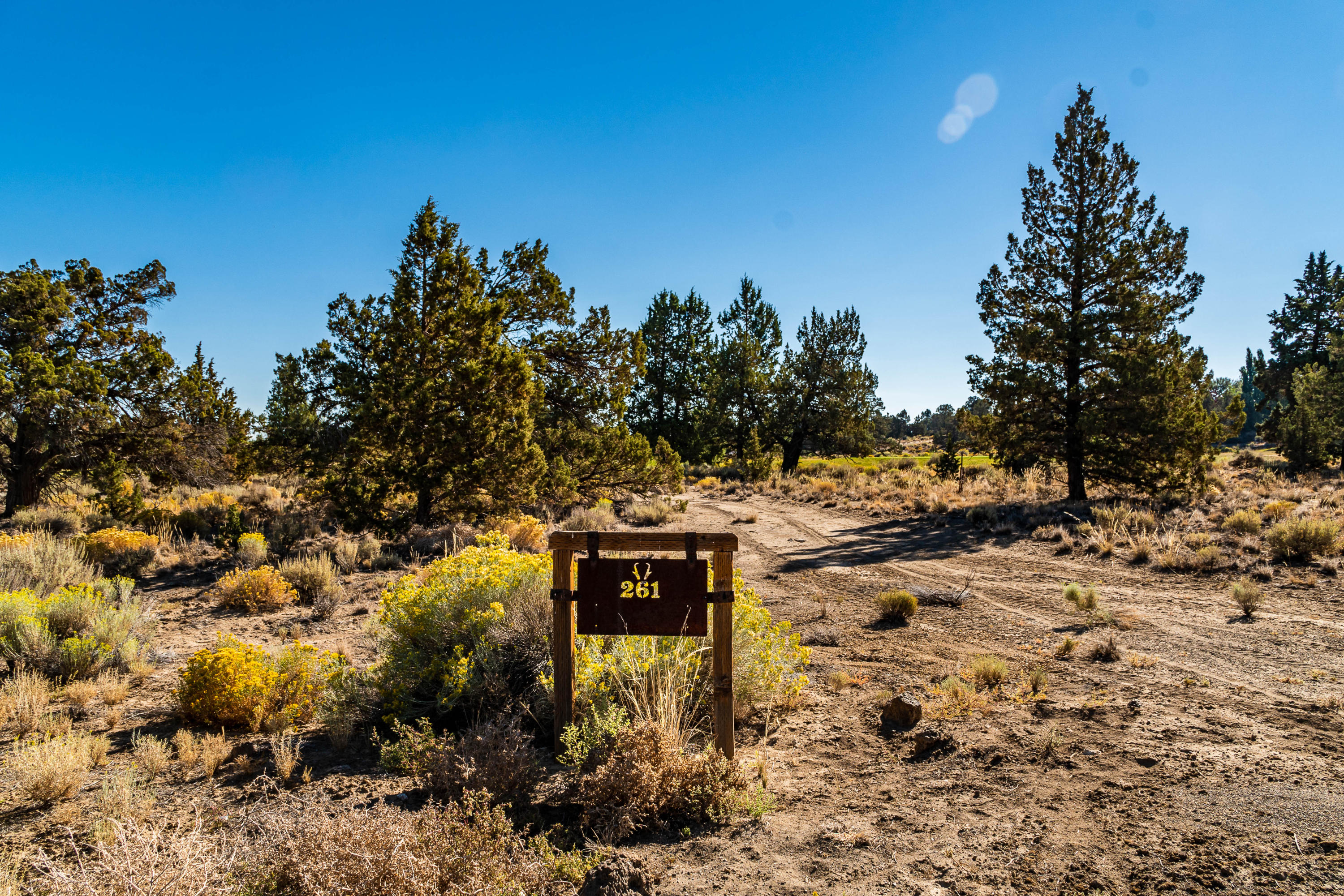 Pronghorn - Land