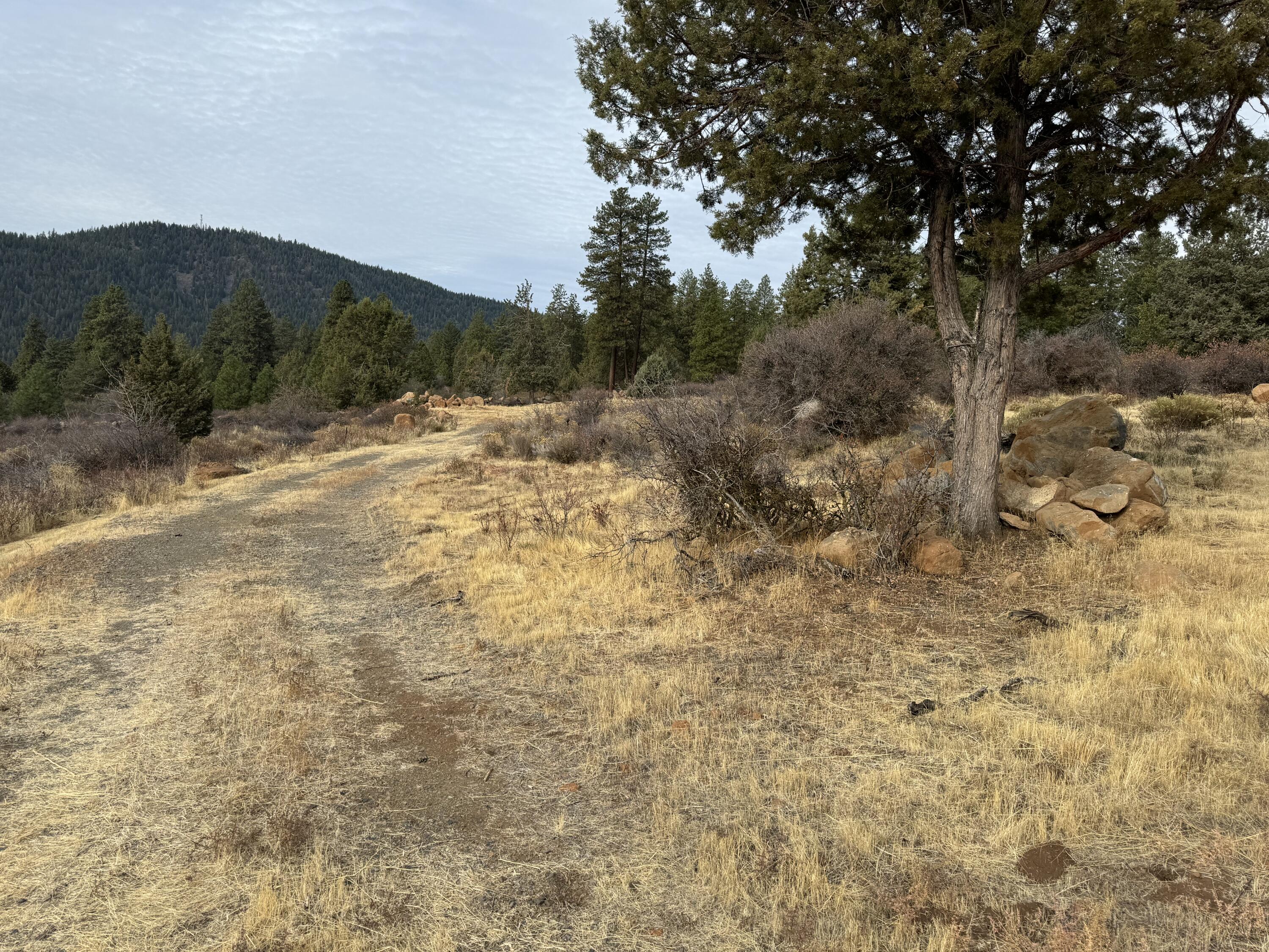 Running YResort - Land