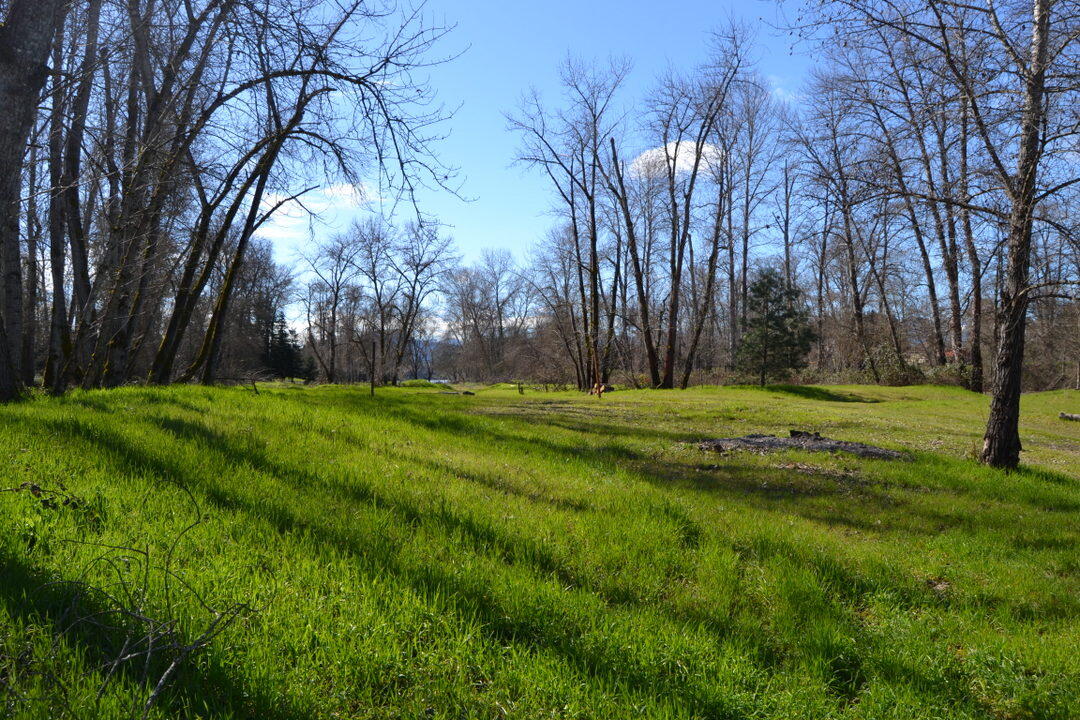Riverwalk - Land
