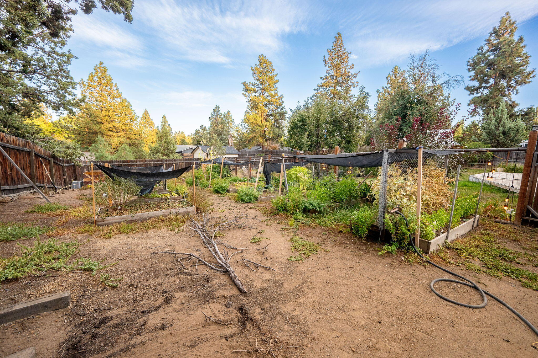 Desert Woods - Residential