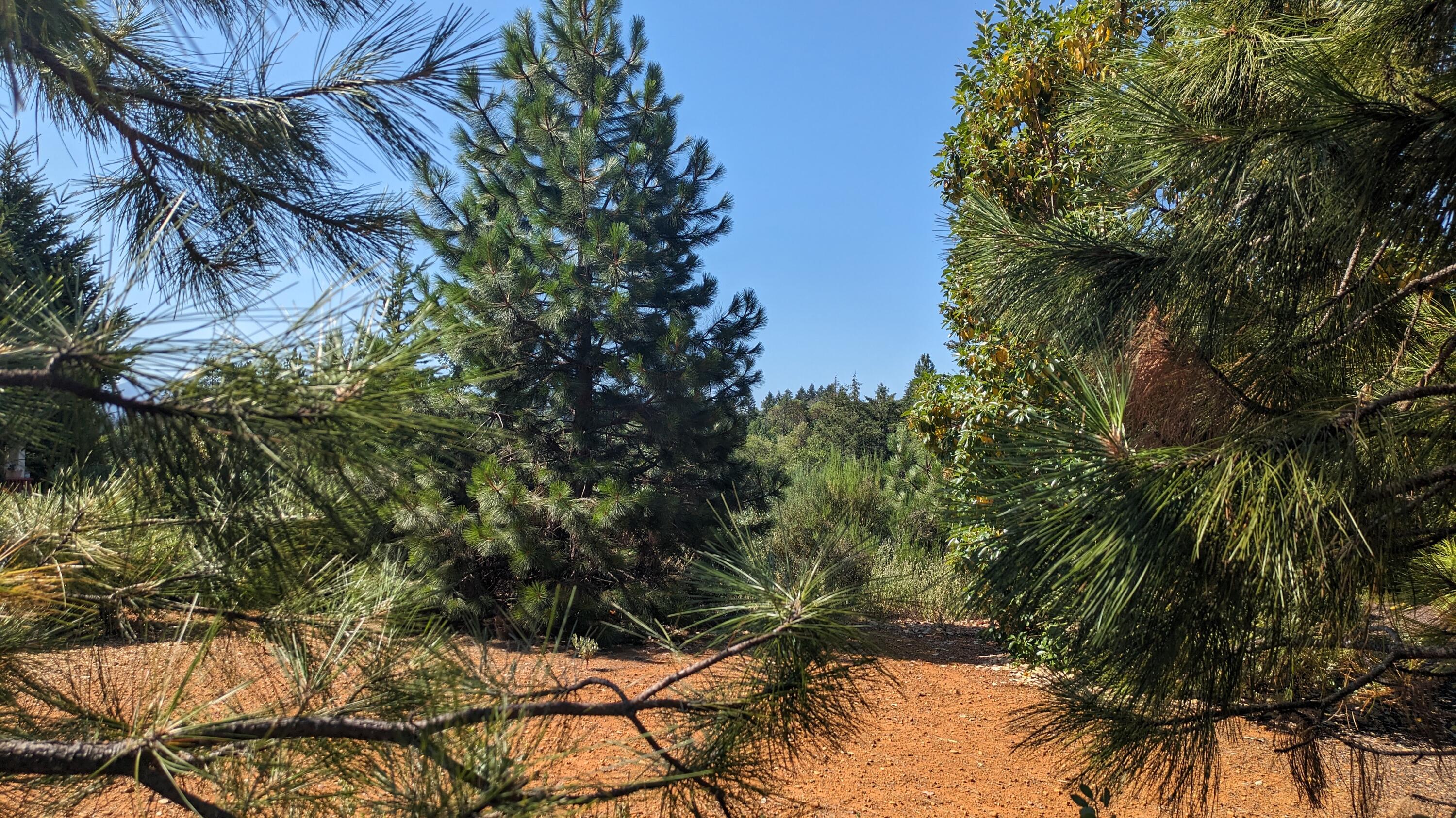 Great lot in a quiet gated community.  This 55+ community features many amenities that making living here an incredible opportunity.  The peaceful neighborhood is full of beautiful homes.  This area is the best value in Southern Oregon.