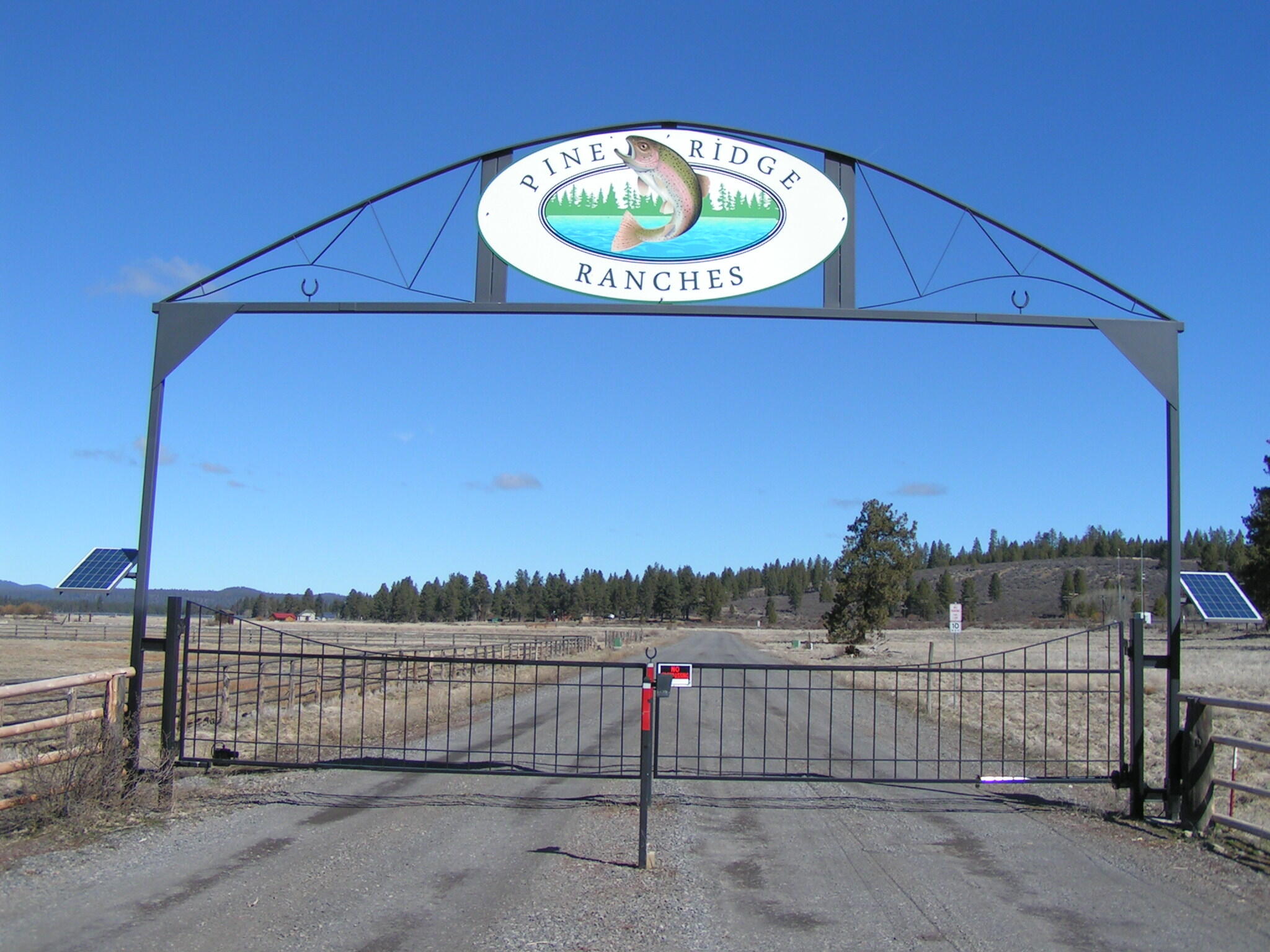 Pine Ridge Ranches - Land