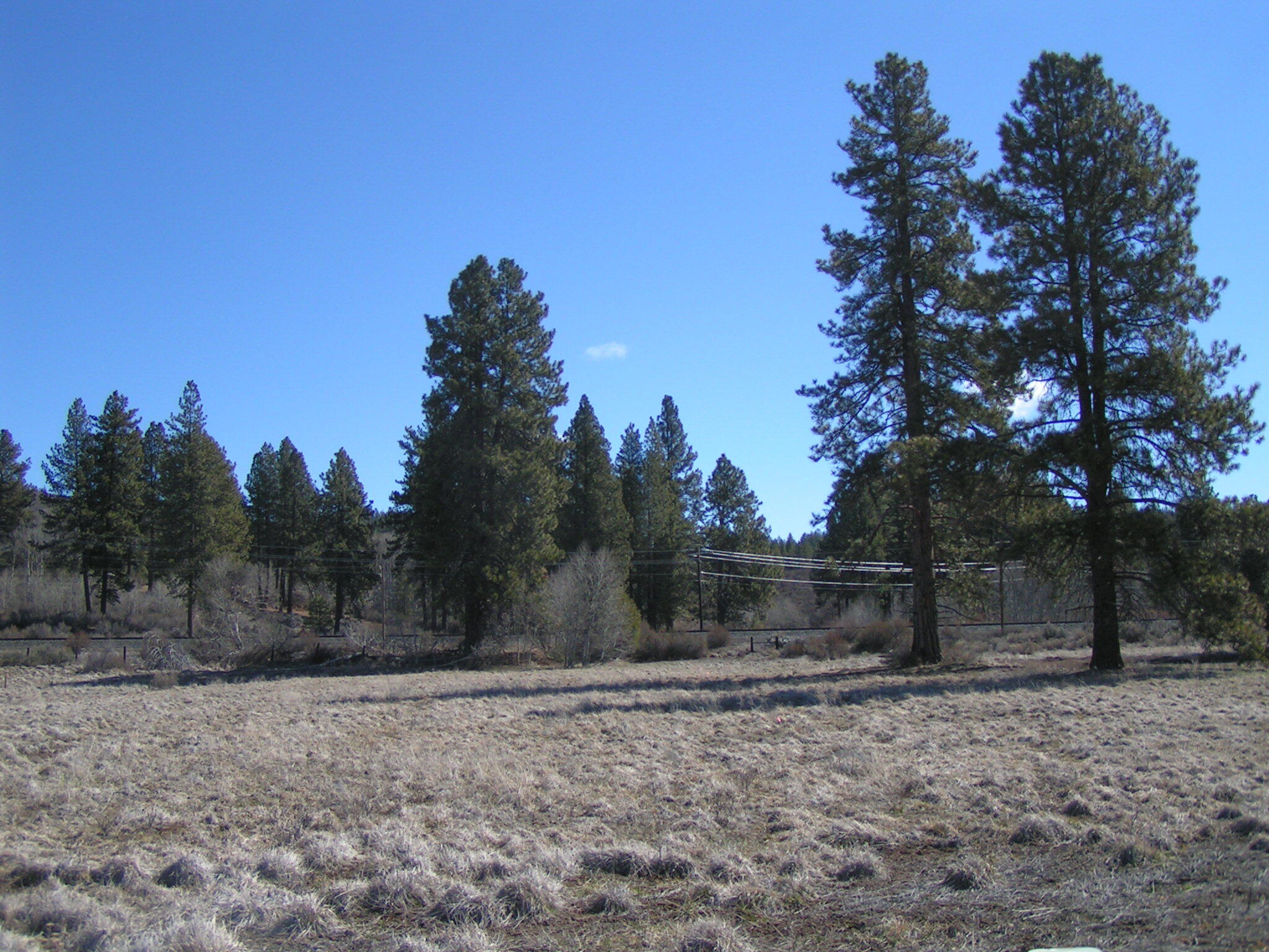 Progressive, Pine Ridge Ranches Subdivision-
10 acres. Stick built homes only, quiet, quaint, quality lifestyle in this safe, gated community. 
This location is the first home site just right of the entry. Zoned R5, HOA annual fee $265.00 per 5-acre lot. Enjoy your access to the Williamson River for fishing and kayaking with Pine Ridge Ranches residents only.
