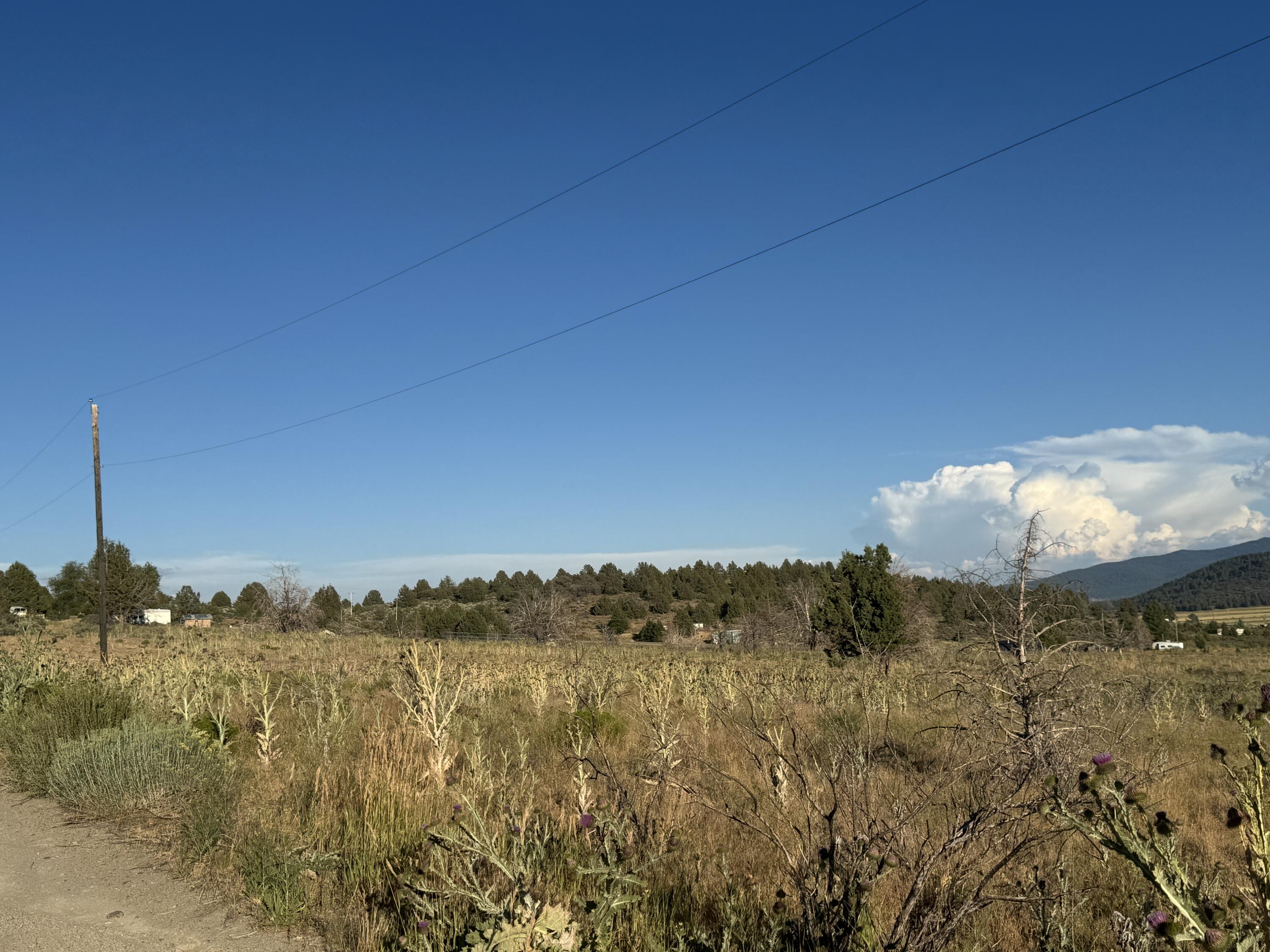 Nimrod River Park - Land