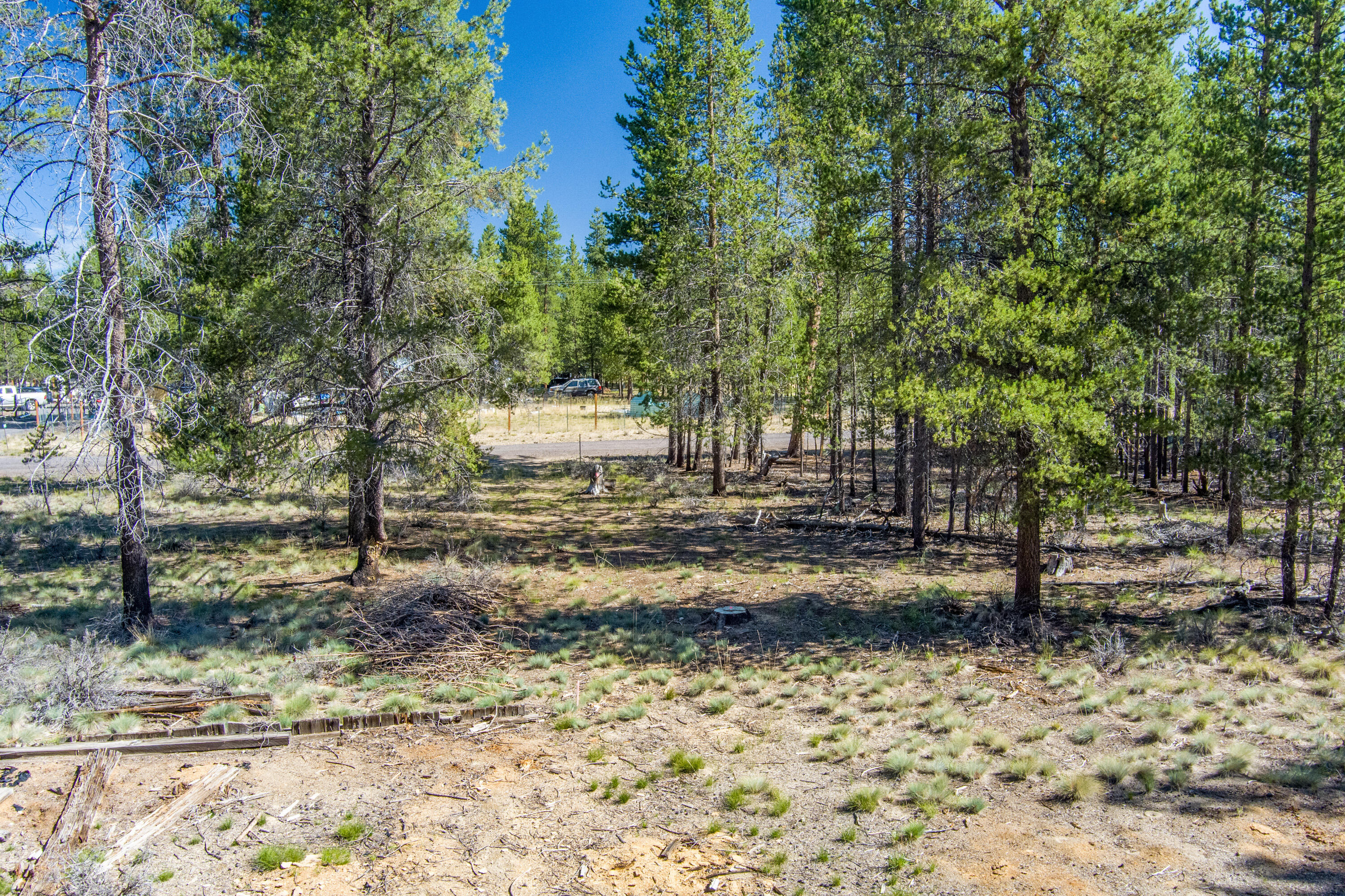 Sun Forest Estates - Land