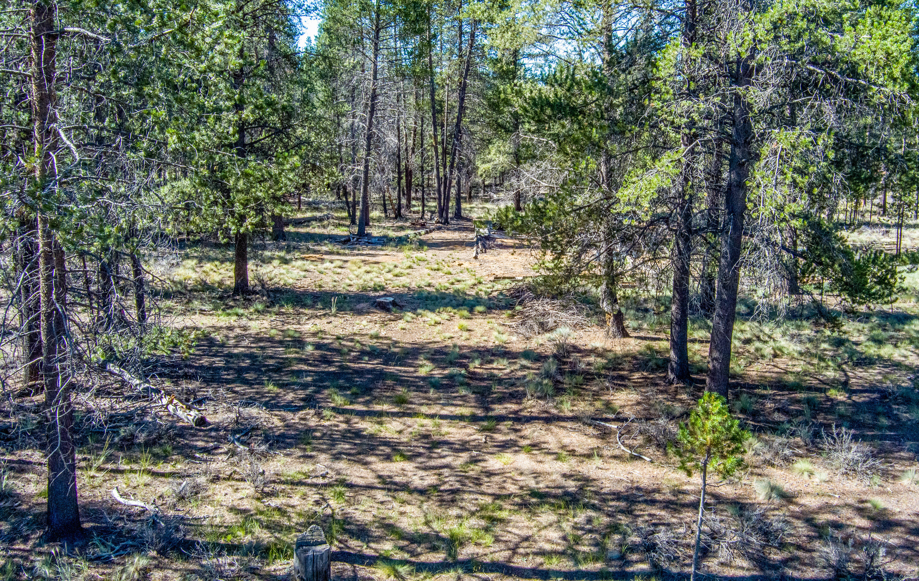 Sun Forest Estates - Land