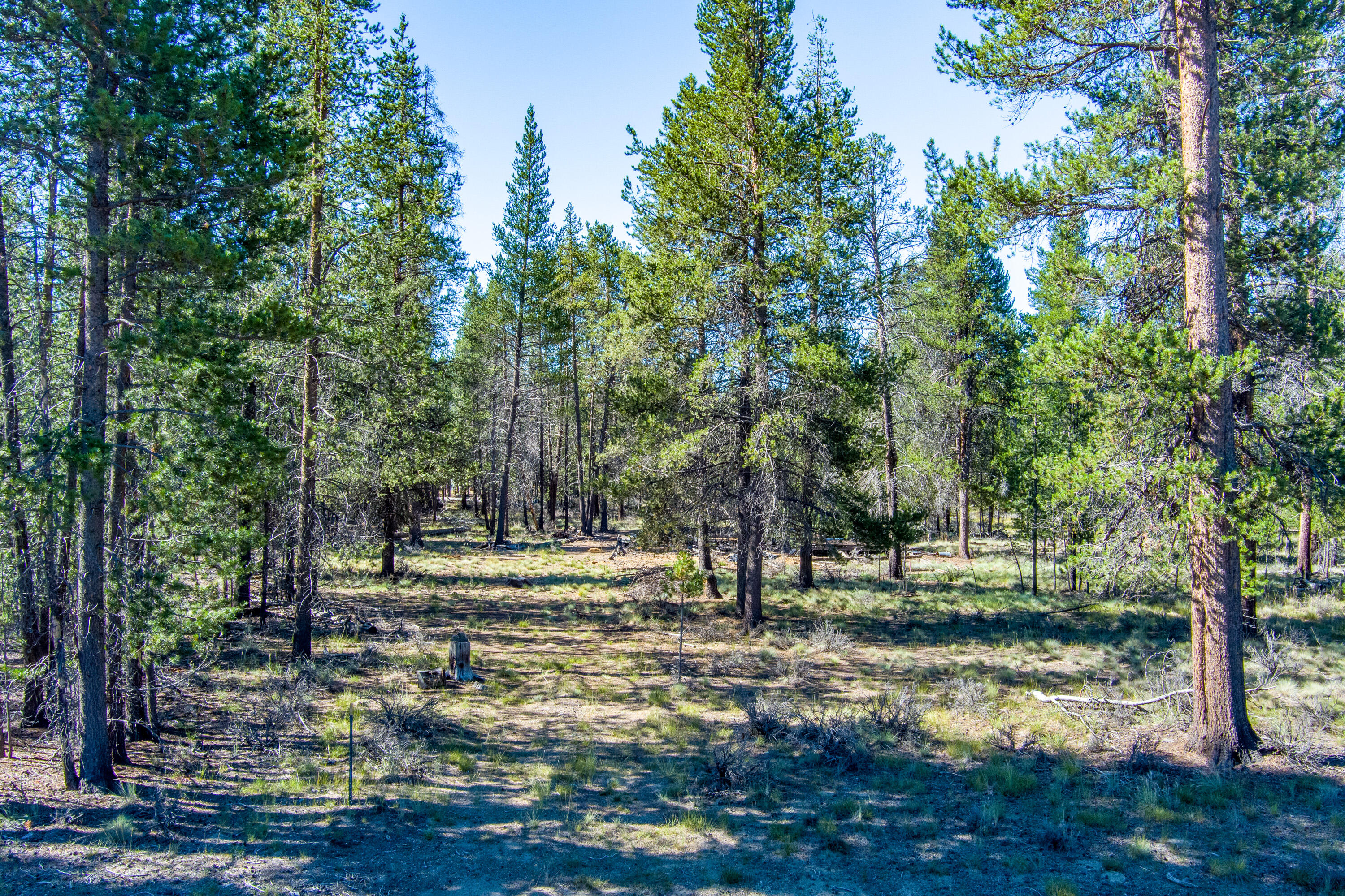 Sun Forest Estates - Land