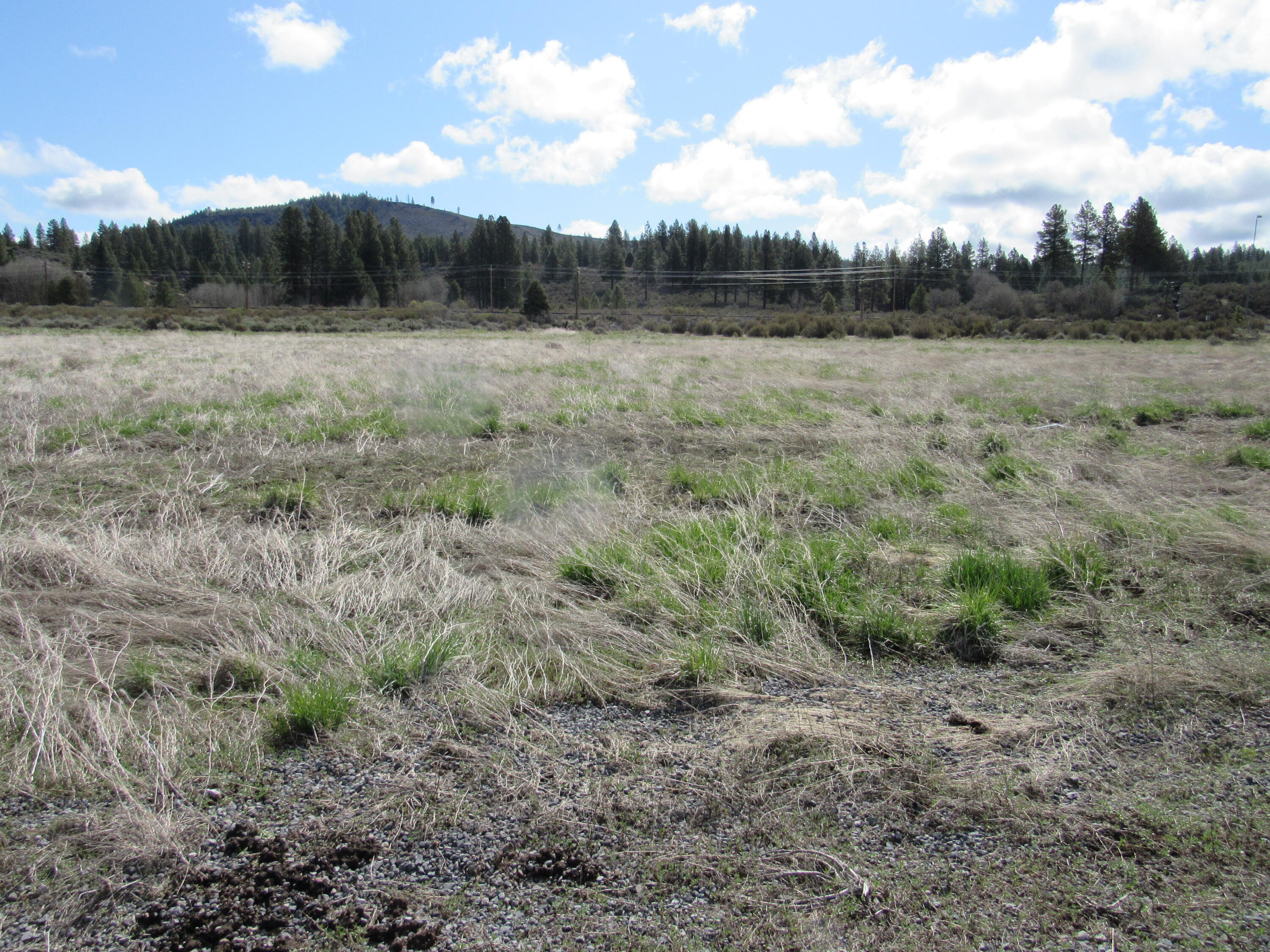 Pine Ridge Ranches - Land