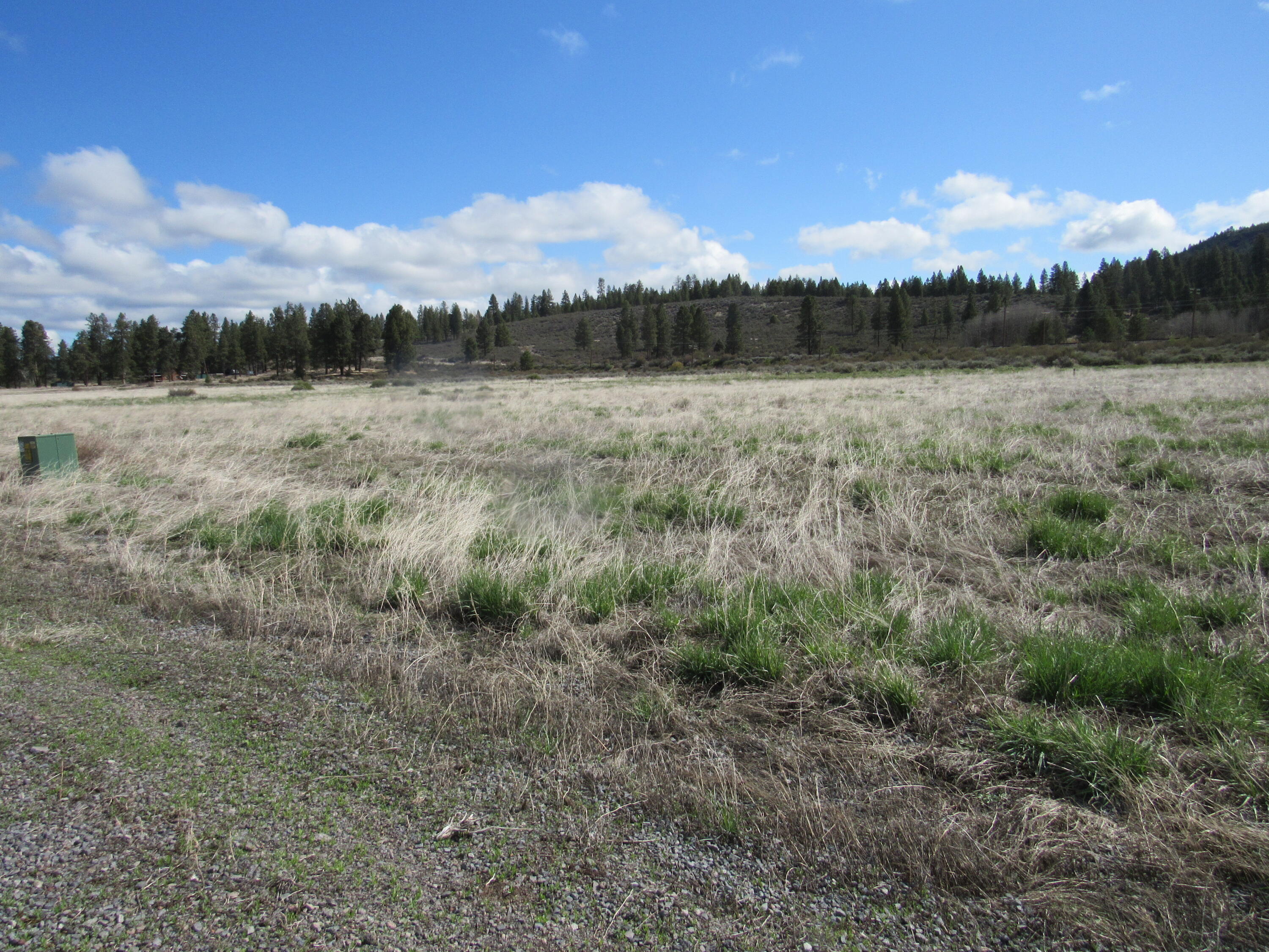 Pine Ridge Ranches - Land