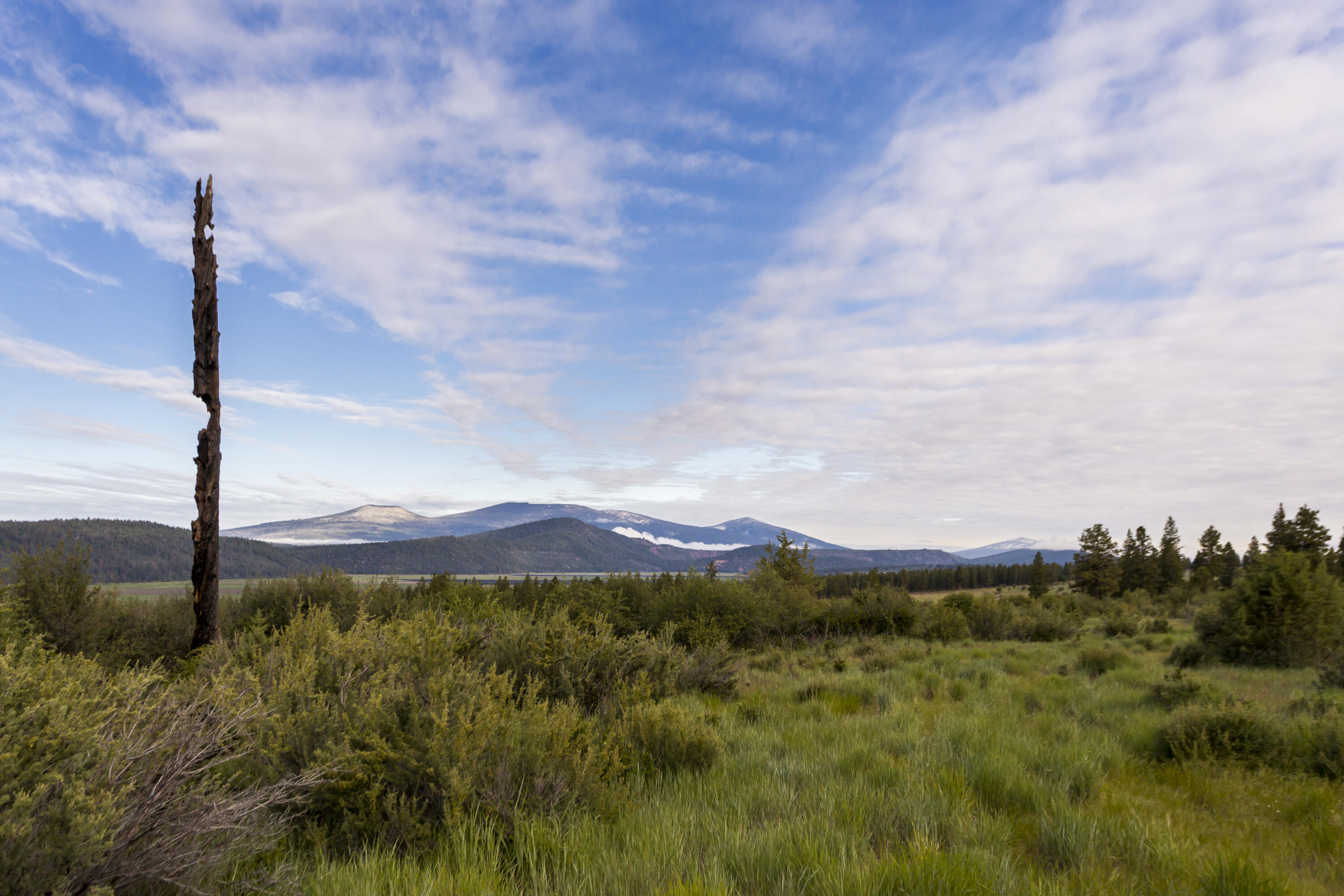 Lot In the desirable gated community of RidgeWater Properties features native plants, straightforward build site, corner lot uniquely designed to enjoy unparalleled views of Klamath Lake in 2 directions, surrounding Mountains & Peek a boo of Mt Shasta. This ample, 1.07 acre lot is one of only a few lots of this size, providing even more value. Fully developed with all of the utilities, natural gas, electric, water, sewer & Cat 5 internet on the property. Wildlife & birding opportunities abound, with over 5 miles of walking/riding trails. Mountain biking in RidgeWater properties is exceptional as is the privacy, safety & overall opportunities in the growing town of Klamath Falls. Klamath Falls is experiencing an economic resurgence with value that other parts of the Country are not enjoying. Minutes from Sky Lakes Medical Center & Oregon Institute of Technology. Call, text or e-mail for your private tour/virtual tour.