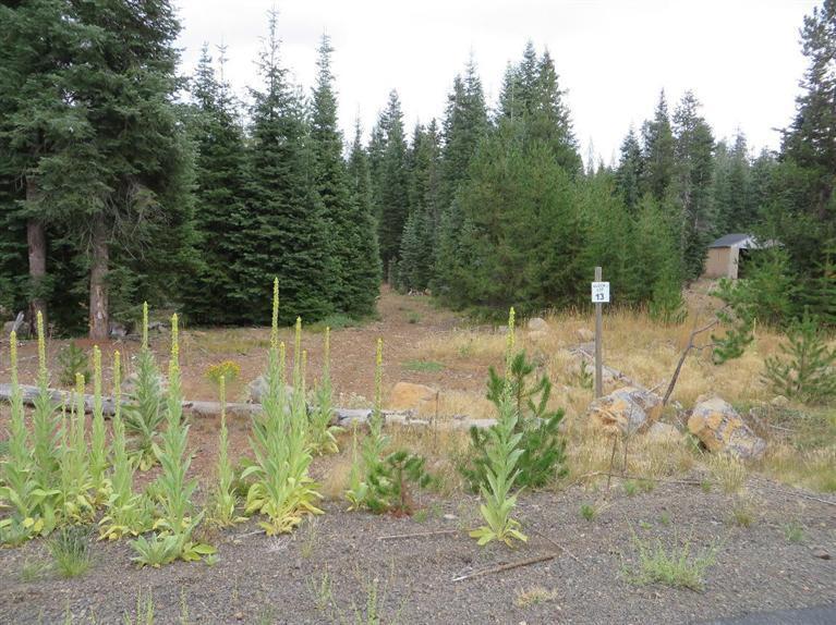 Two magnificent lots surrounded by mountains, trees and wilderness life. Every outdoor enthusiast dreams about building a home in this environment. Separate tax lots with both being over an acre. Traveling 4-5 miles will take you to Lake of the Woods Resort where you can enjoy fishing, boating, camping, hiking, paddle boarding, kayaking and much more during the summer months. As the seasons change you can enjoy hunting, snow shoeing, cross country skiing, sledding and snowmobiling. If you are looking for a tranquil relaxing outdoor environment to settle down and call your home this is the perfect spot to build your outdoor sanctuary. Great place to build a cabin or vacation retreat that can also be rented out as a vacation rental year around. Two separate tax lots 1.05 & 1.07 acre. These lots are located in Lakewood Village.