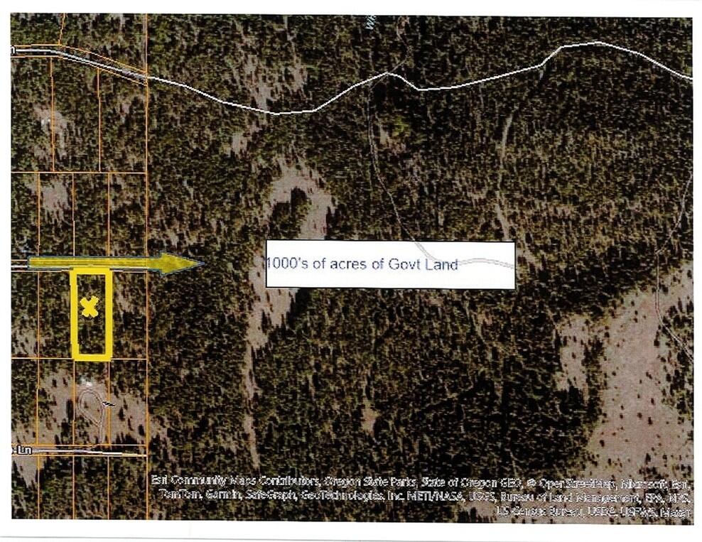 Escape to your 2.5-acre outdoor paradise on Red Deer Lane, Bonanza, OR! This flat, tree-covered lot, just 200 ft from Fremont-Winema National Forest, is perfect for a hunting cabin or seasonal camp.   Surrounded by abundant wildlife—deer, elk, and more—and close to world-class fishing in the Sprague River and nearby lakes, it's an adventurer's dream. Enjoy 300+ sunny days a year and off-grid potential.  Build your retreat in this serene, secluded haven, only 45 minutes from Klamath Falls. Ideal for hunters, anglers, and nature lovers seeking privacy and endless recreation!   Buyer to perform own due diligence regarding camping, utilities, uses & building.  There is a road association that maintains the roads.