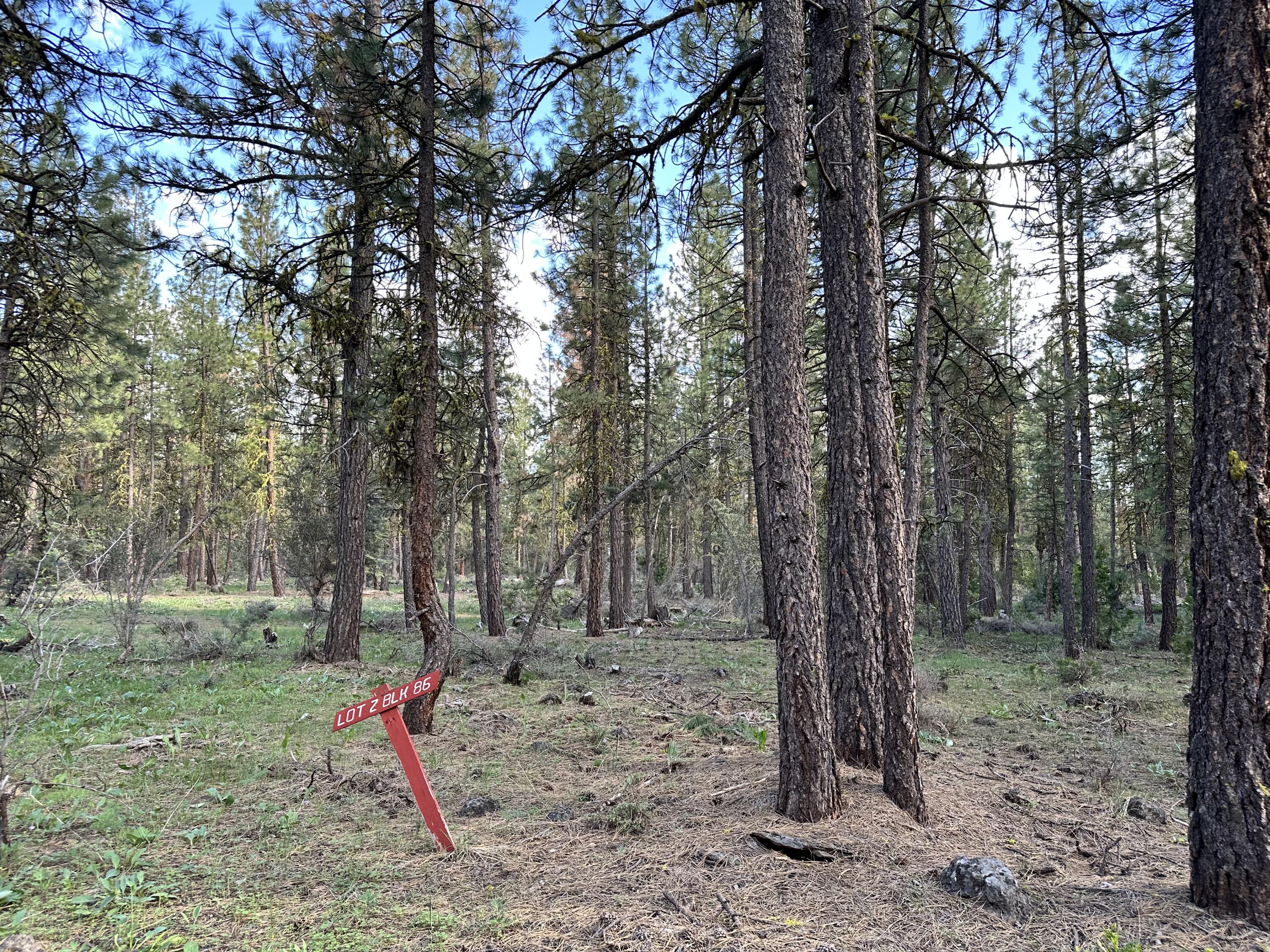 Klamath Falls Forest Estates Hwy 66 Unit Plat 4 - Land