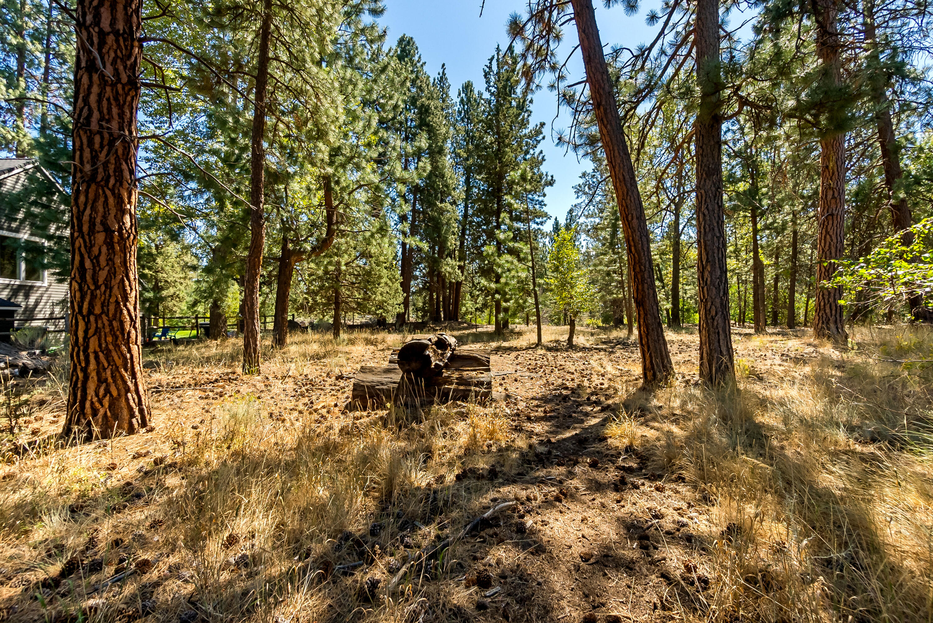 Situated along Whychus Creek with open space separating the property from the water, this offering an exceptional building lot in Roaring Springs. There is no HOA so let your imagination run wild! It's a rare opportunity for you to build your dream home on this unique lot in Sisters. Perfectly positioned for both privacy and accessibility, the property captures the true essence of the Sisters lifestyle. Set within a wooded, park-like environment, it delivers a tranquil retreat while remaining close to outdoor recreation and everyday conveniences. Backing onto Whychus Creek and Oregon State Parks Land, the lots enjoy a peaceful natural backdrop right outside your door. The location is also highly convenient—just two blocks from Sisters Elementary, a half mile to downtown, and just over a mile from Pederson Trailhead—ideal for many daily activities. Whether you're a builder or future homeowner, envision creating your dream residence in this serene setting.