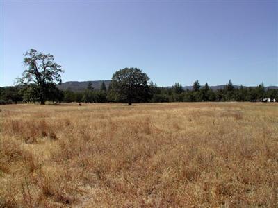 This is a beautiful piece of level land. Per Seller, there is electricity at the street. Buyer to verify. Looks like the gas line also runs along Hwy 62 at front of property. 8 acres mostly cleared and ready to go. Close in and private yet not secluded for those that like some privacy but not way out and with no neighbors. There is the adjoining parcel that is for sale also. Buy both parcels, 16 acres, for $339,800. We are putting together a home/lot package with DeCarlow Homes as the builder. Call for more information