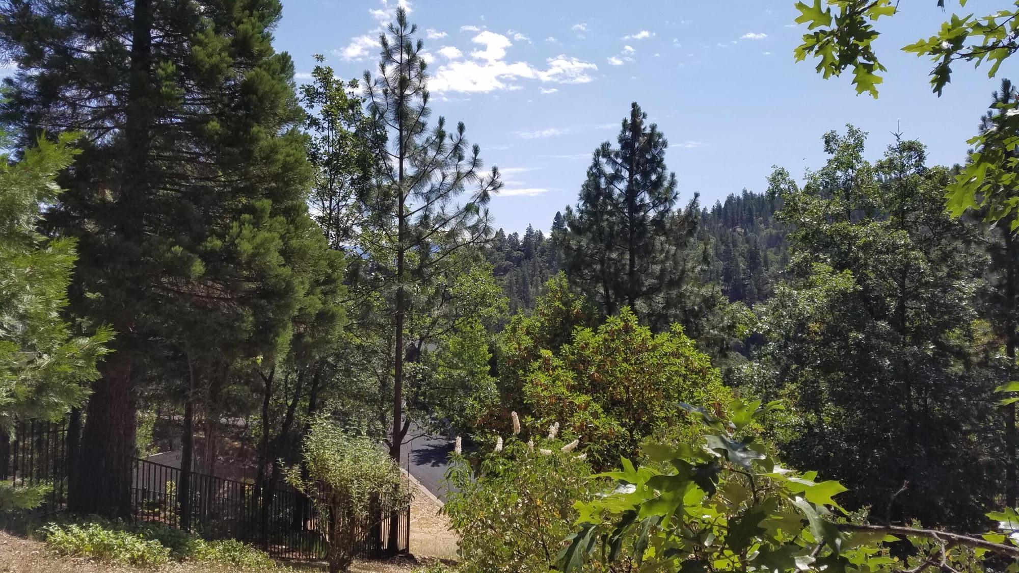 Lithia Creek Estates, AReplat Of Lithia Park Village - Land