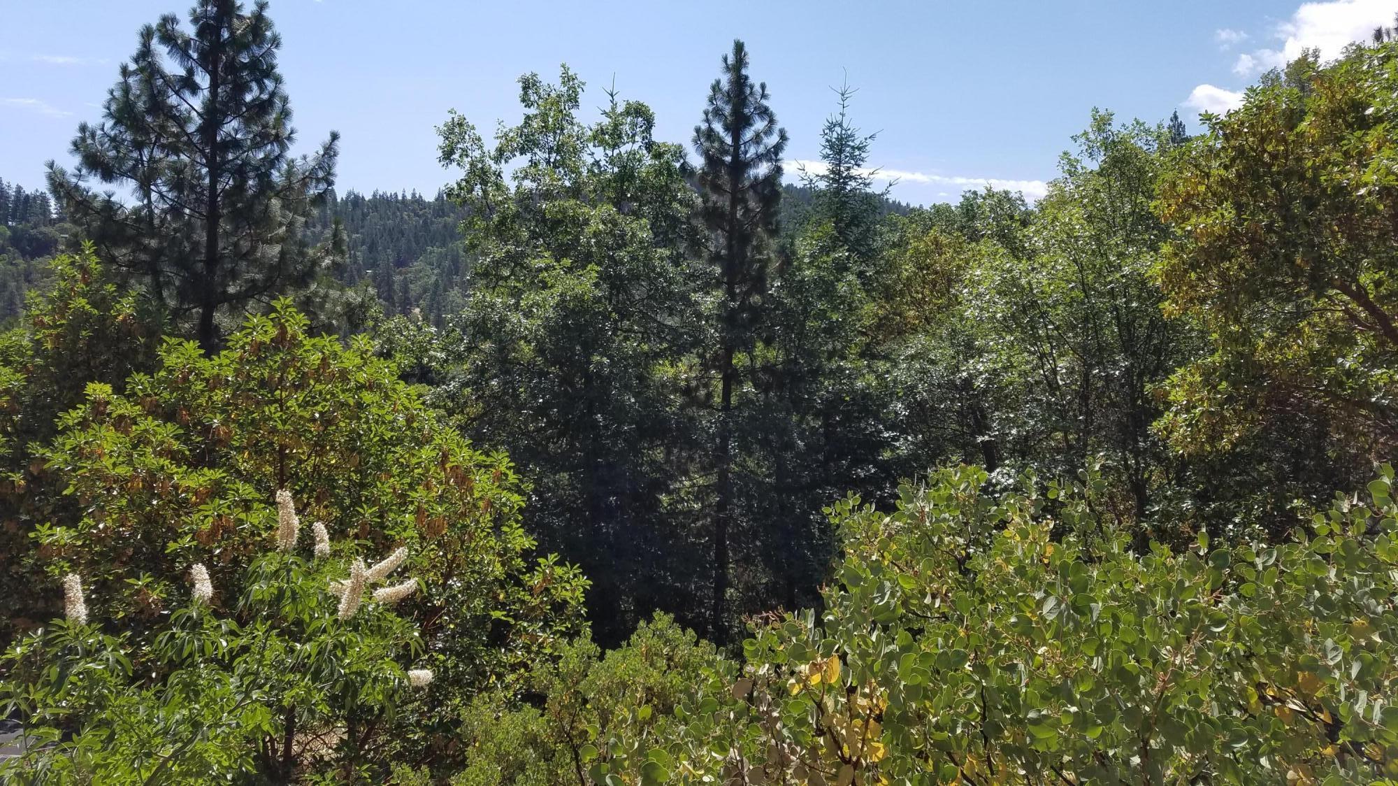 Lithia Creek Estates, AReplat Of Lithia Park Village - Land