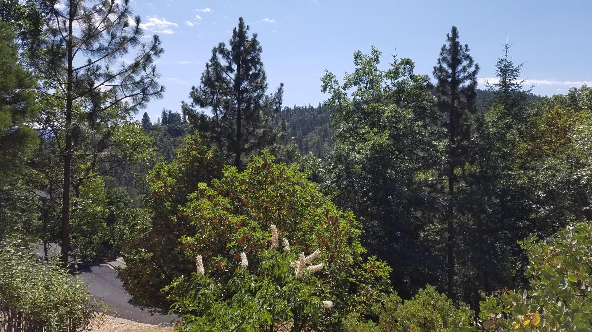 Lithia Creek Estates, AReplat Of Lithia Park Village - Land
