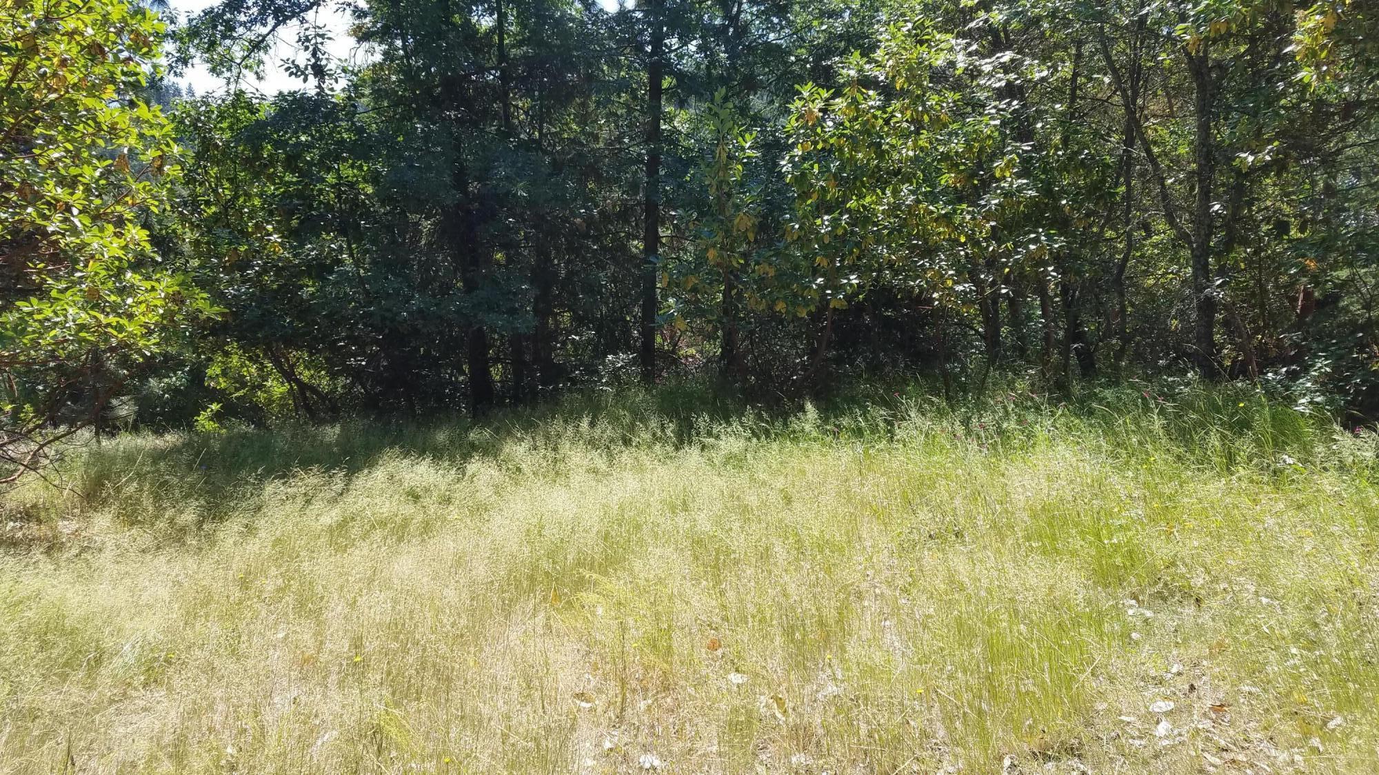 Lithia Creek Estates, AReplat Of Lithia Park Village - Land