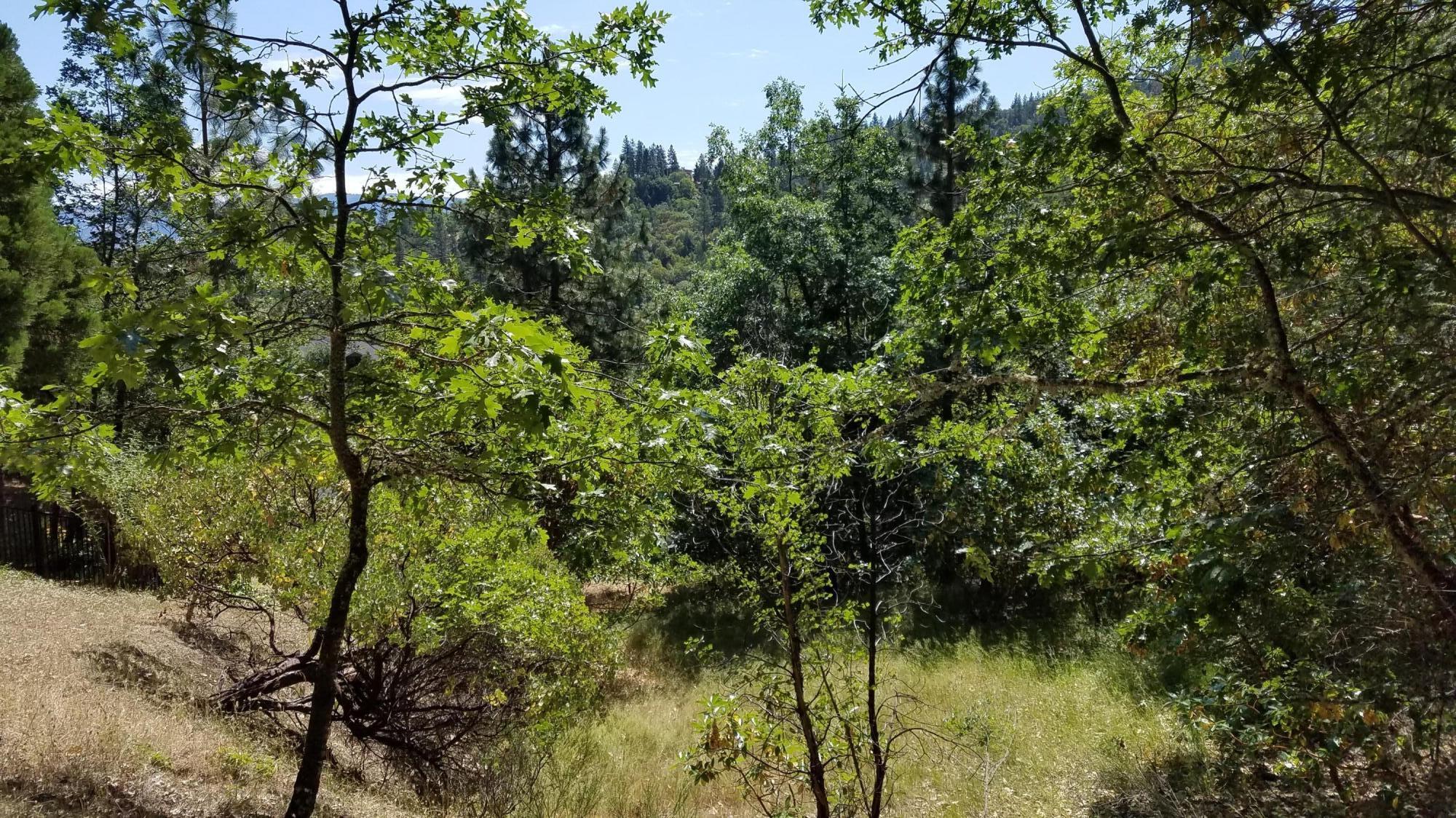 Build your Ashland dream home on this beautiful lot with mature trees and panoramic views over Lithia Park. Located in Lithia Creek Estates, a neighborhood of finely built homes. 1 block to Granite Street and Lithia Park. Accessible to many beautiful hiking paths. Near Oregon Shakespeare Festival and downtown Ashland. Utilities stubbed to property line. Buyers to do own due diligence with City of Ashland.