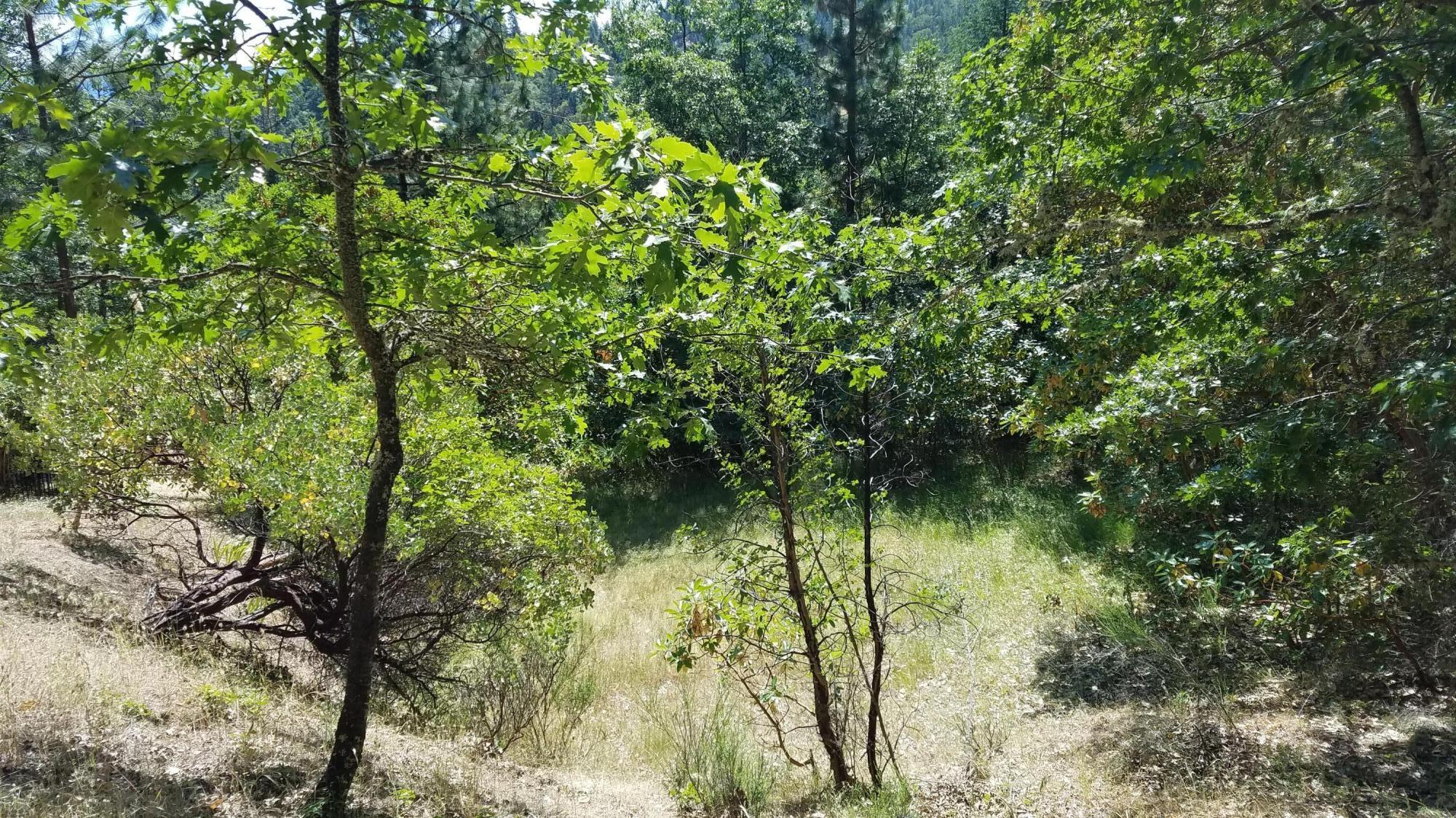 Lithia Creek Estates, AReplat Of Lithia Park Village - Land