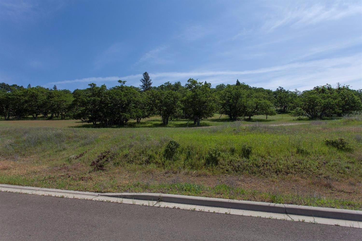 Eagle Ridge Estates - Land