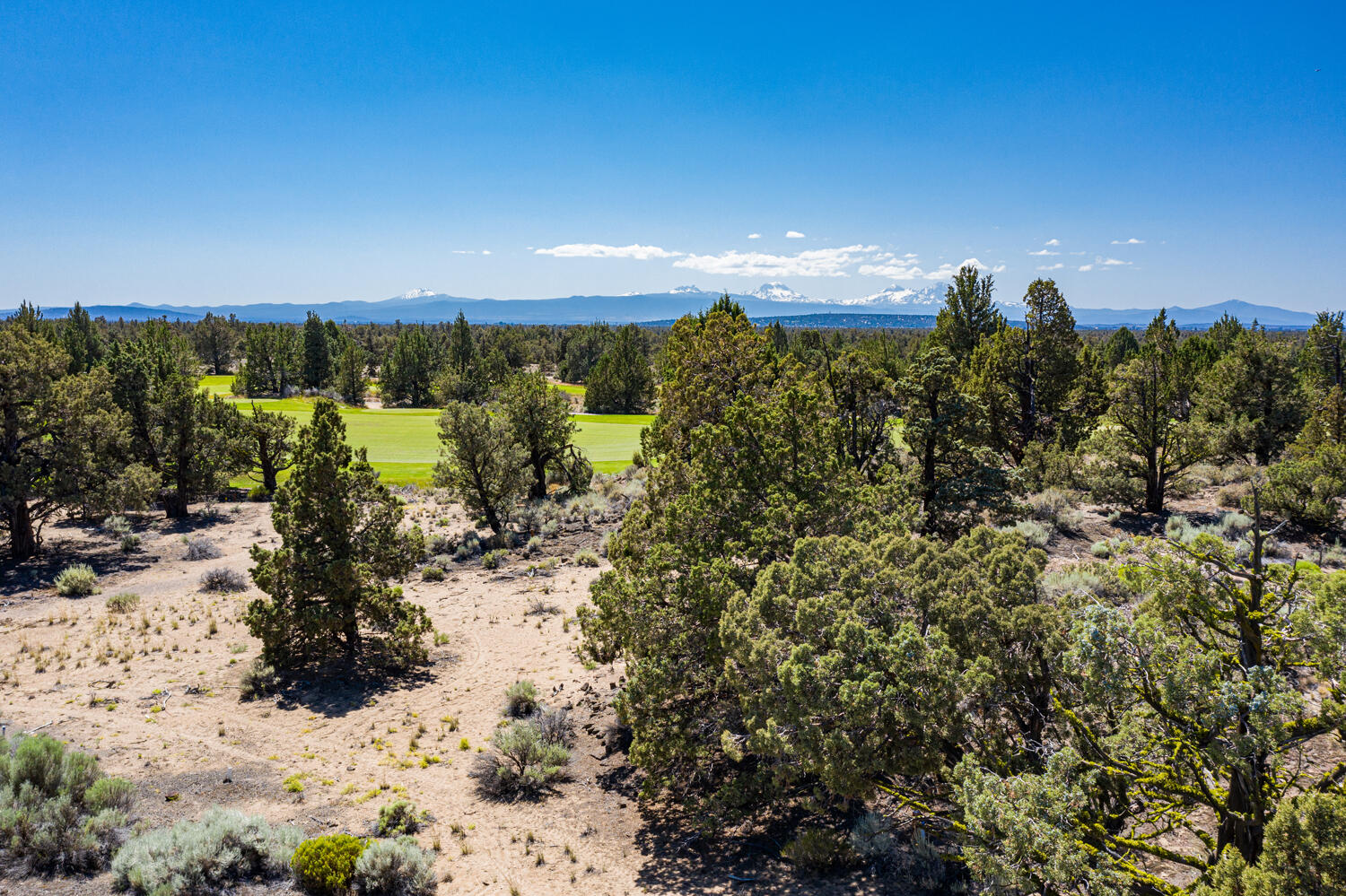 Pronghorn - Land