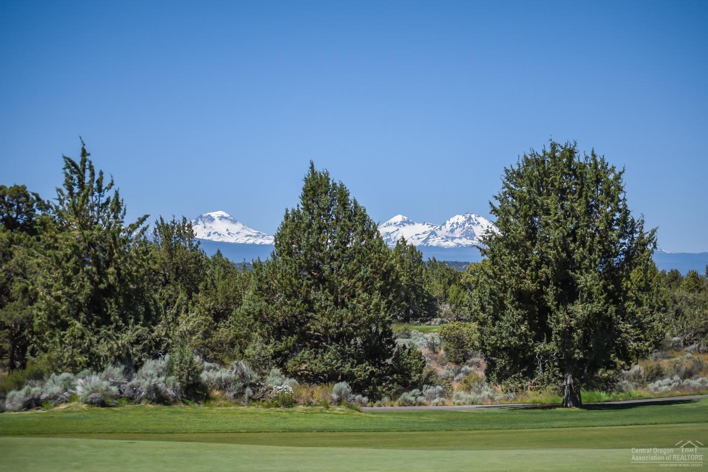 Pronghorn - Land