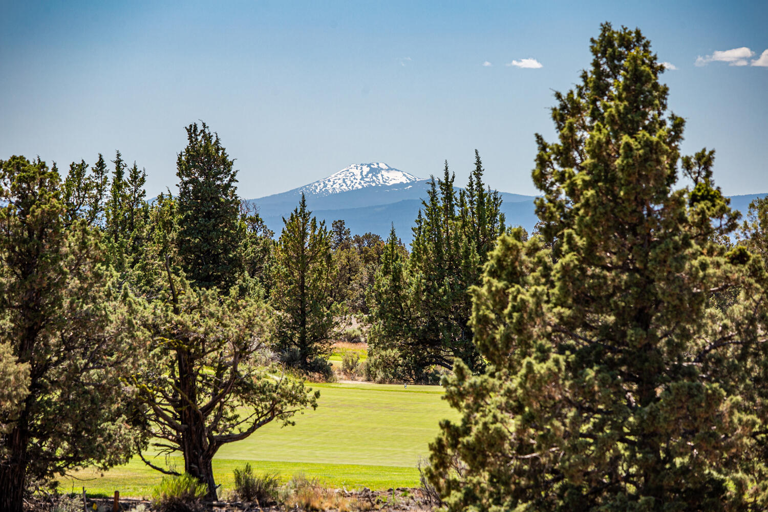 Pronghorn - Land