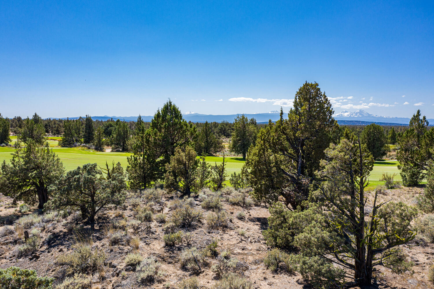 Pronghorn - Land
