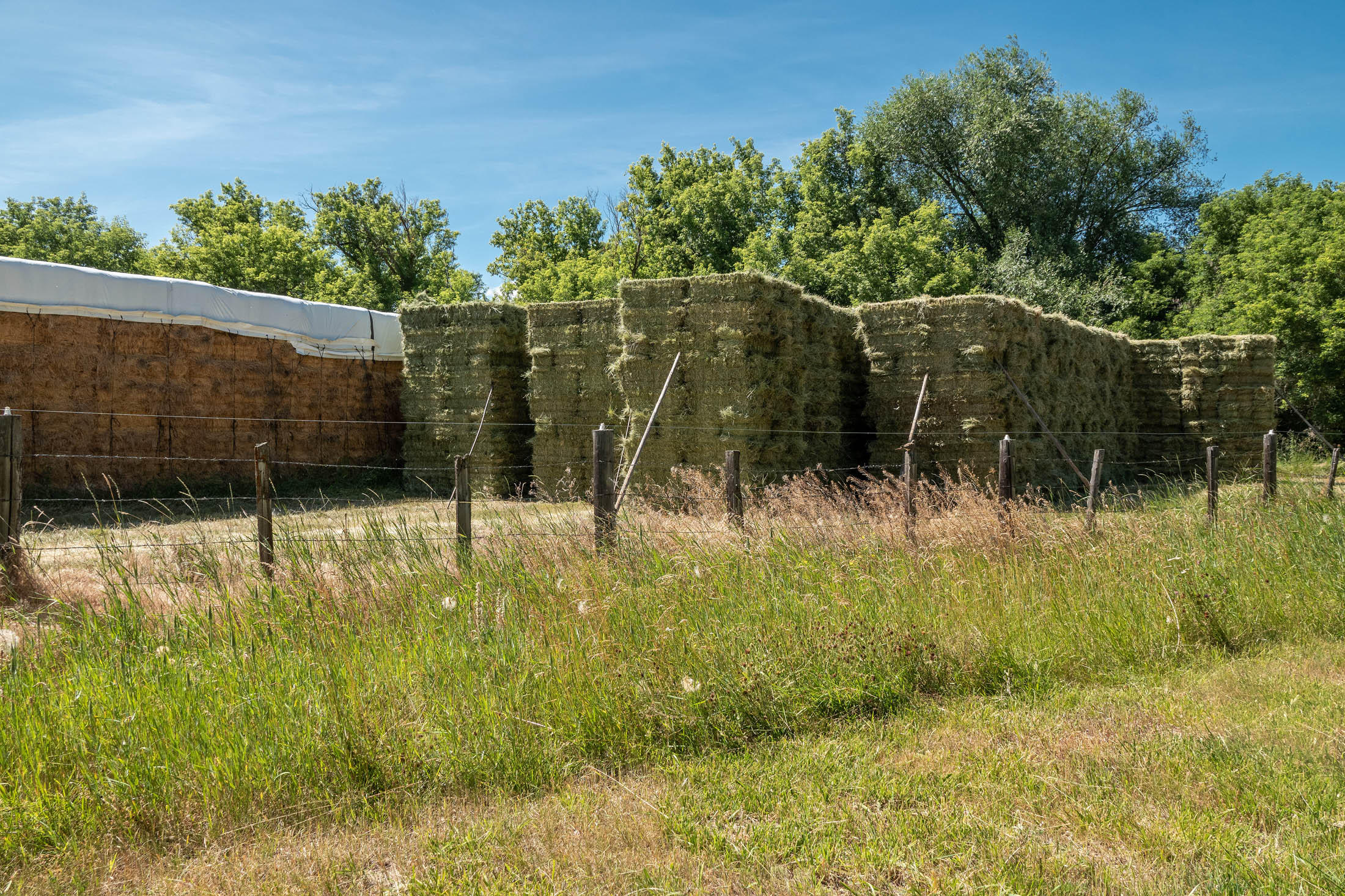 N/A - Farm