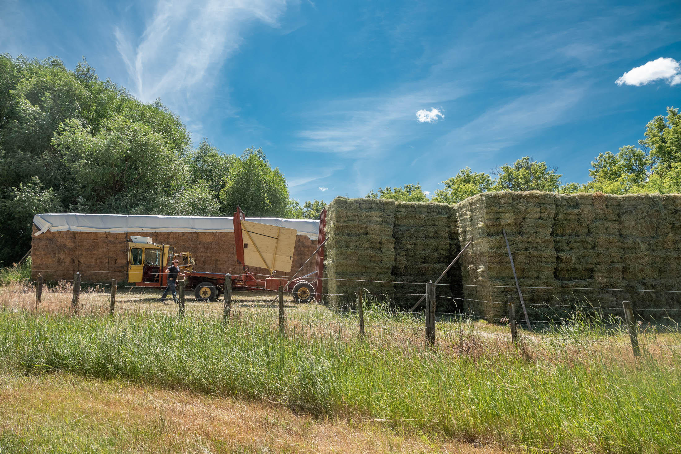 N/A - Farm