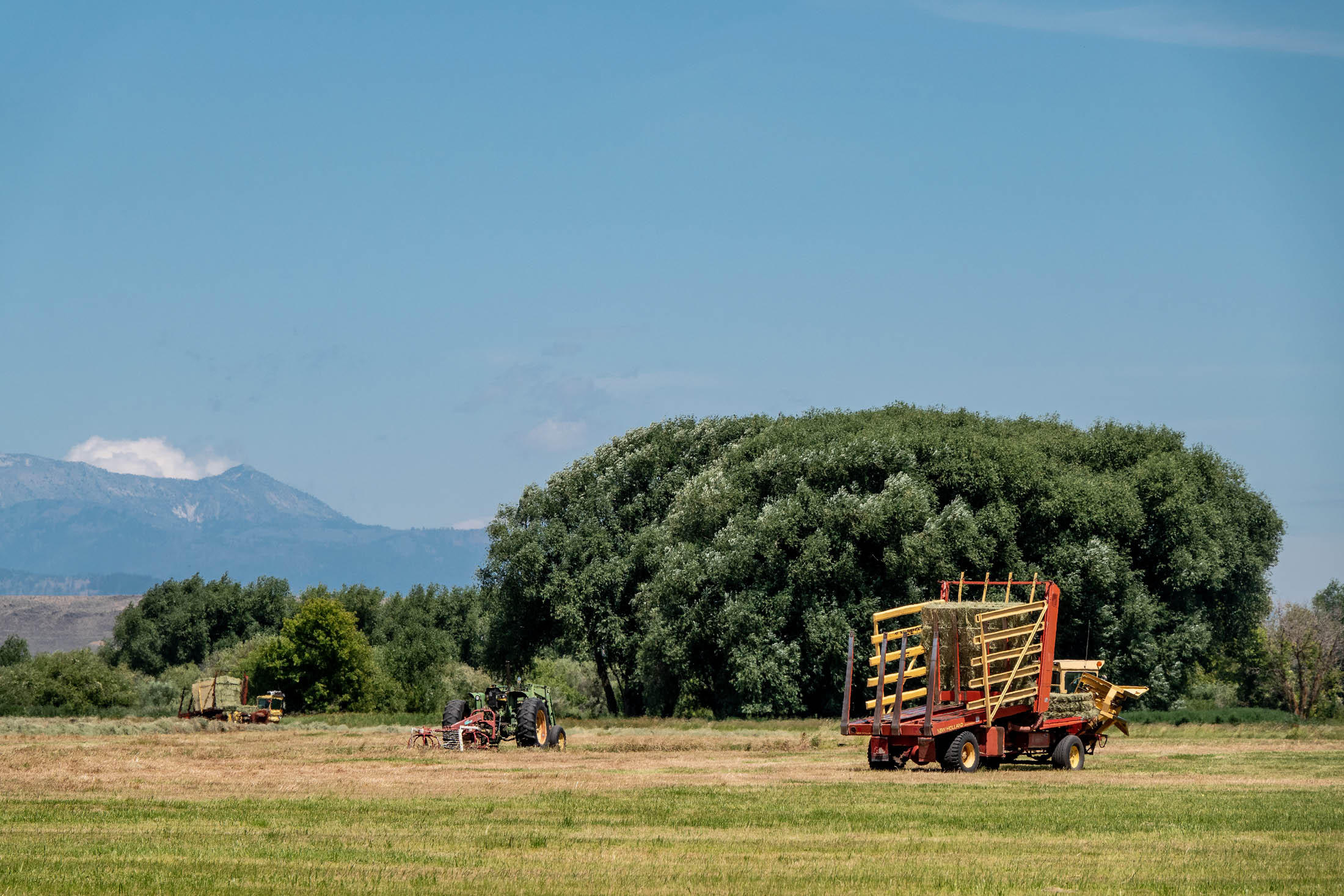 N/A - Farm