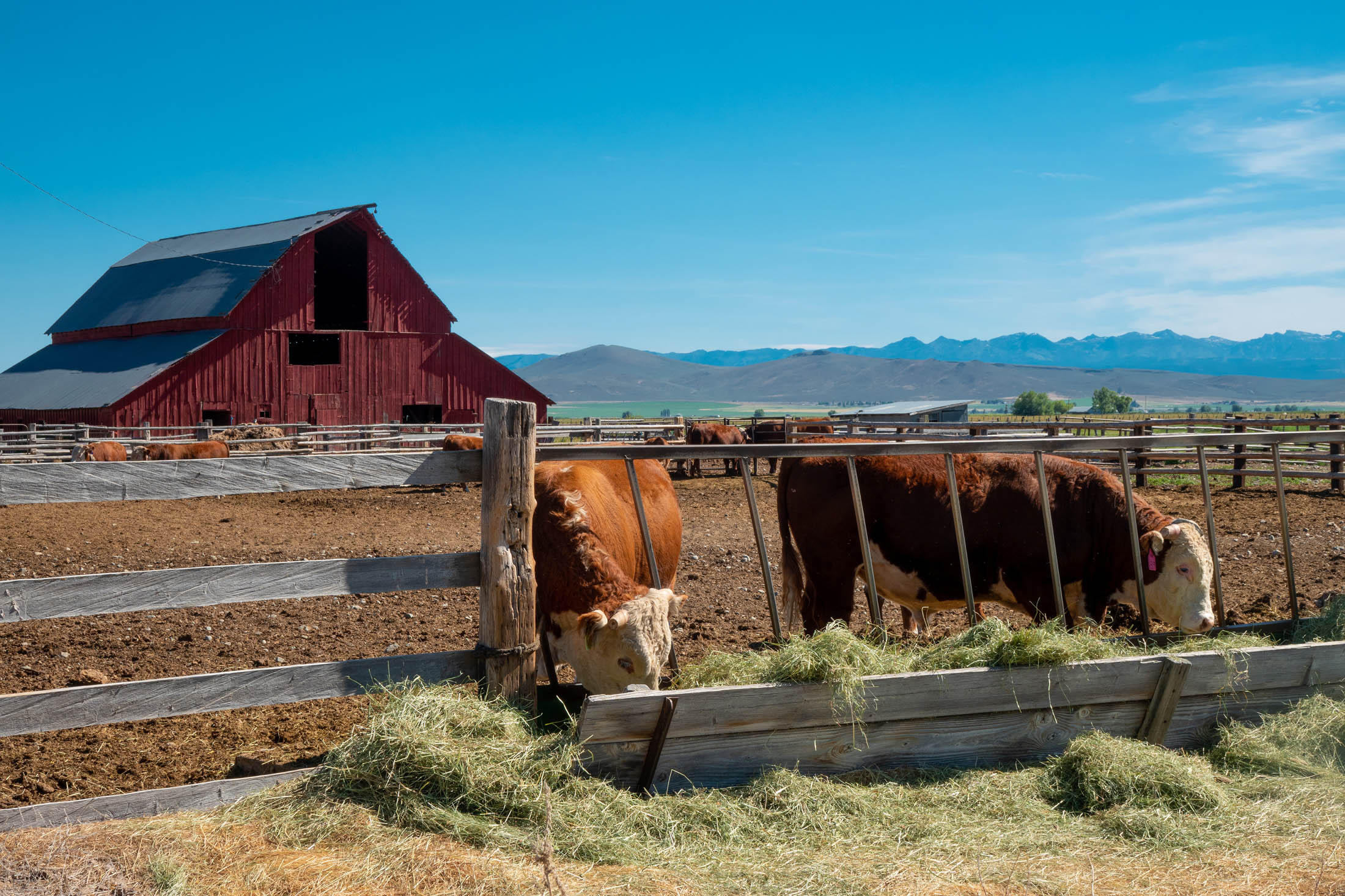 N/A - Farm