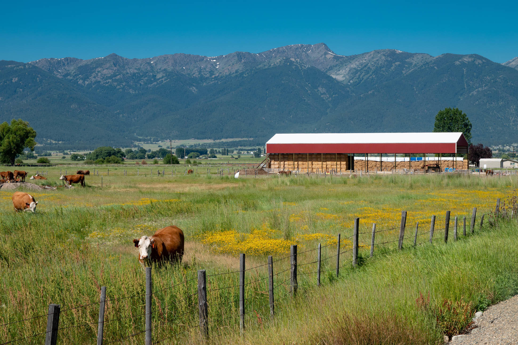 N/A - Farm