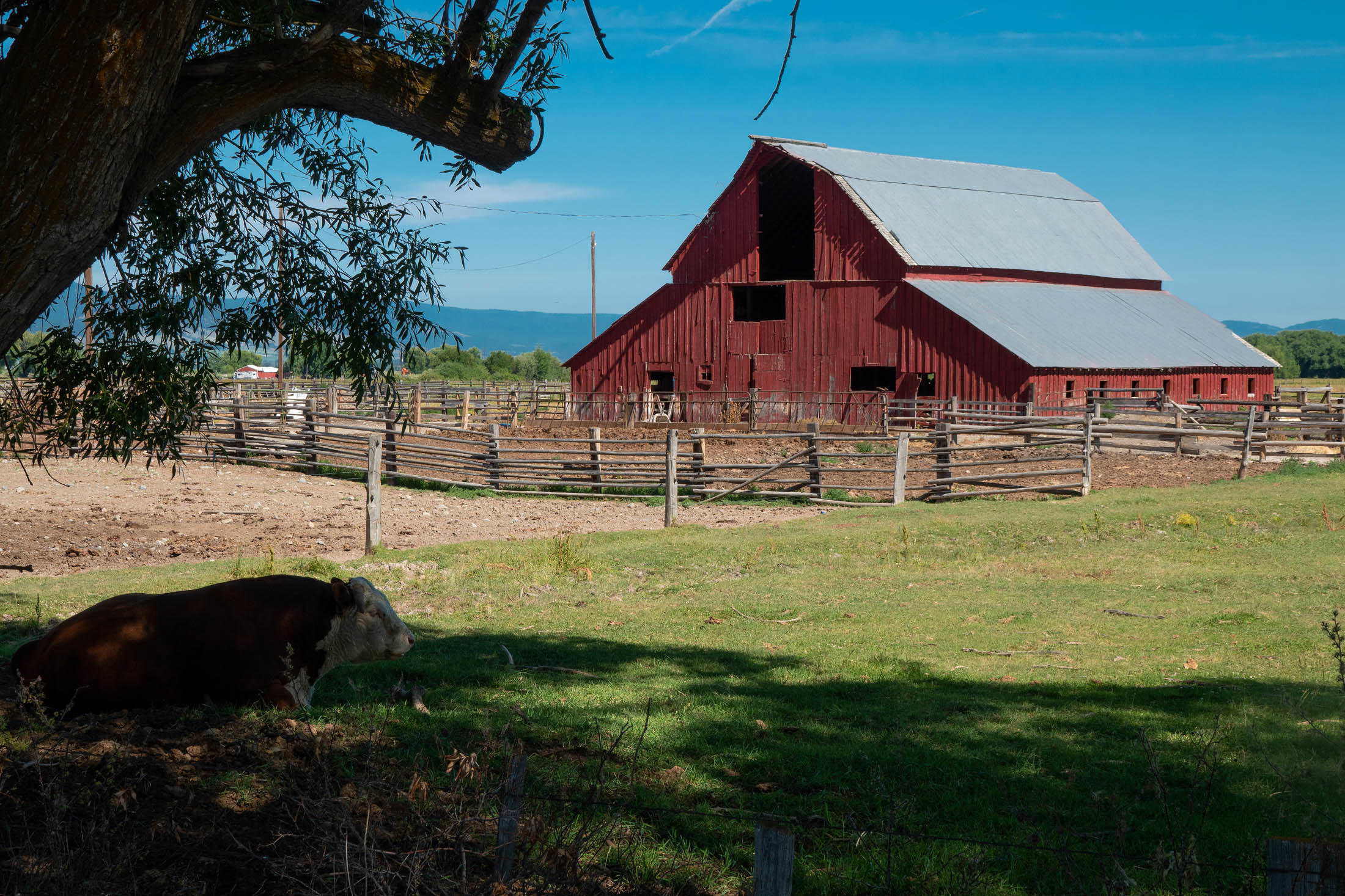 N/A - Farm