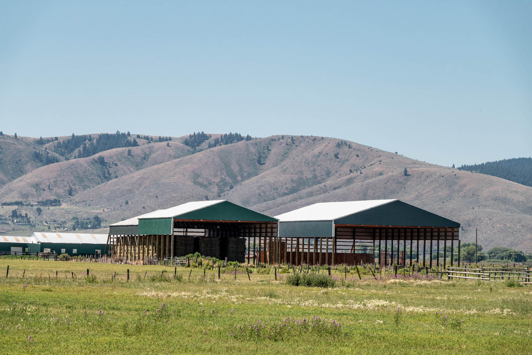 N/A - Farm