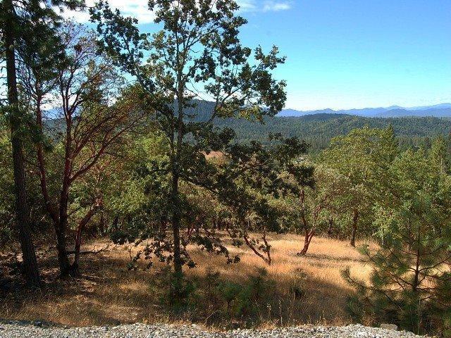 Wonderful treed 5 acre lot in a beautiful established neighborhood of homes nestled in the privacy of Colonial Valley, just minutes to downtown. Utilities are to the property, well drilled-12.5gpm per well report, septic approval. The property has a moderate slope. Located towards the end of a cul-de-sac. Place the home in the right location on the property and you'll have a fabulous view.