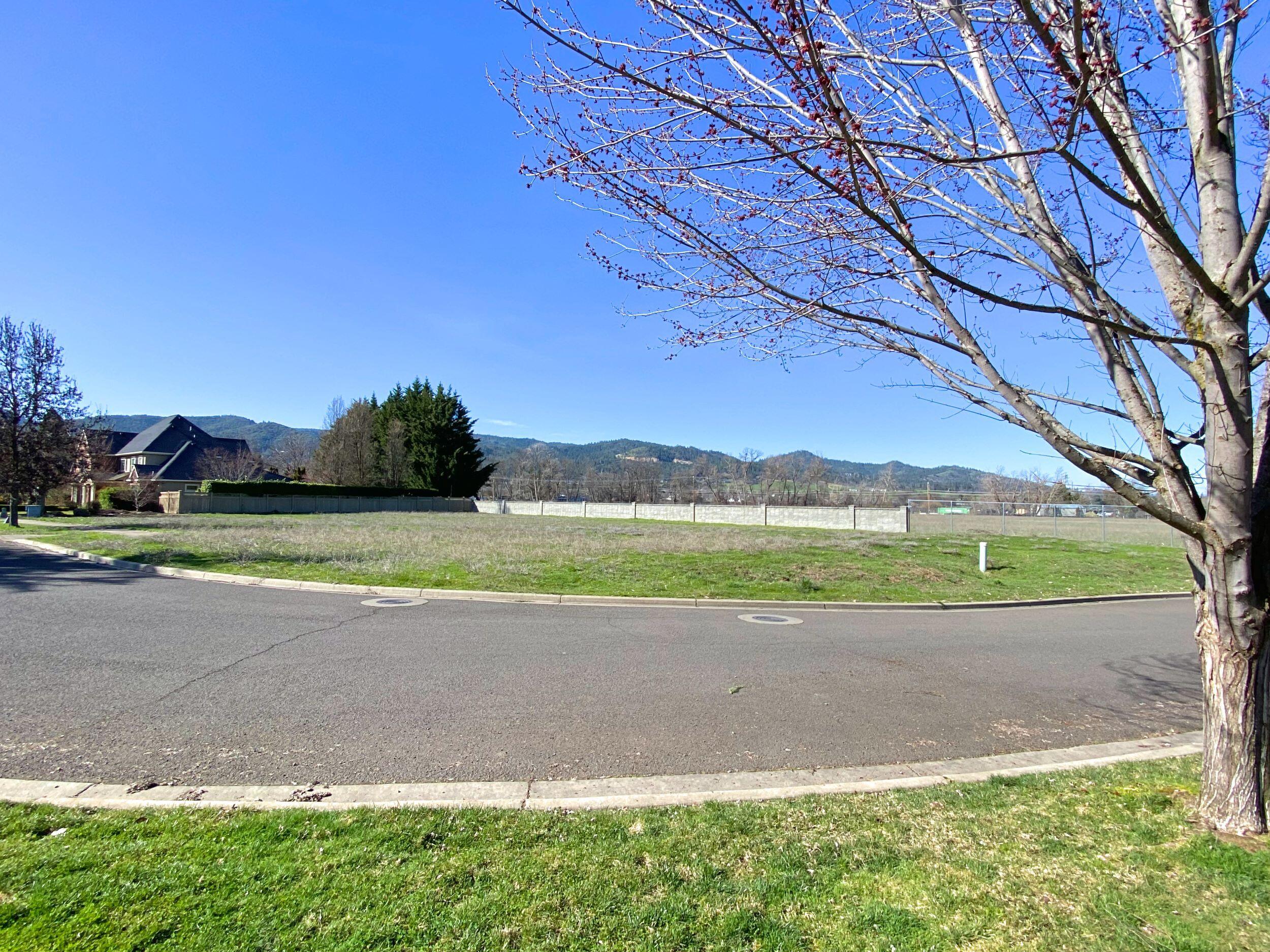 Jacksonville Estates - Land