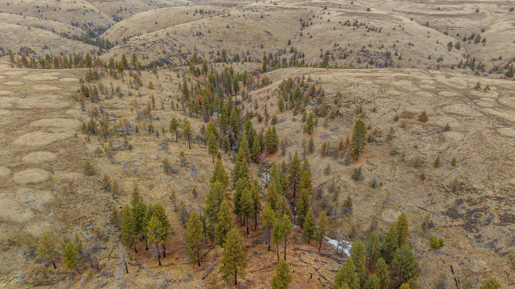 N/A - Farm