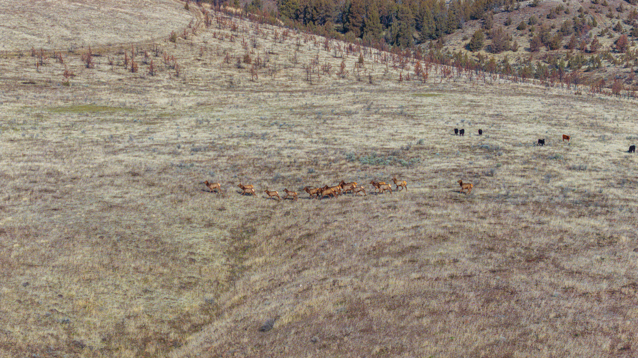N/A - Farm