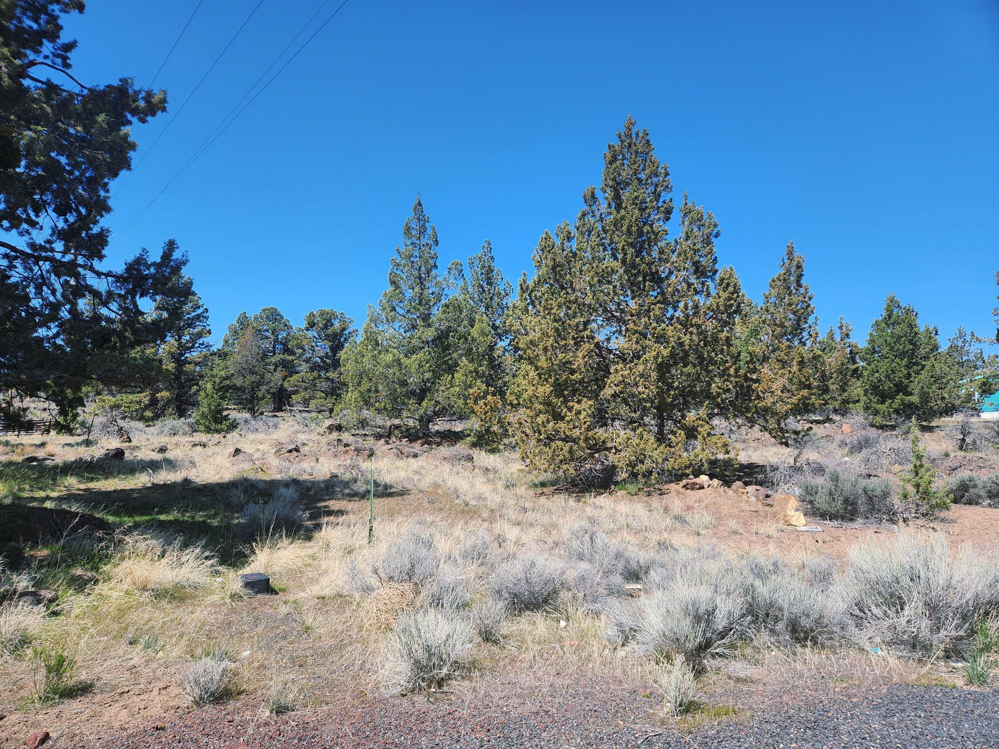 Whispering Pines - Land