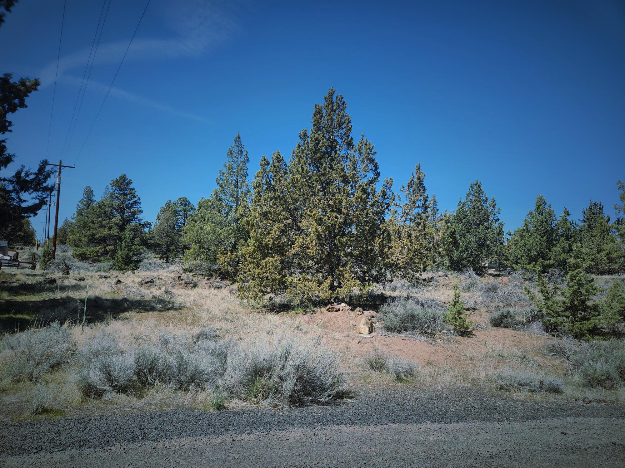 Discover this 3.21-acre parcel nestled in the Whispering Pines neighborhood of NW Bend. Offering the perfect blend of tranquility and convenience, this property provides a serene setting for your dream home, all while being just minutes away from the amenities of Bend and Redmond. The expansive lot boasts ample space, ensuring privacy and the opportunity to design a personalized retreat. Enjoy the peaceful ambiance of Tumalo living. Essential utility hook up to Avion water and CEC power and on site septic system will be required. Seize this rare opportunity to own a slice of Central Oregon paradise in a prime location. Whether you're envisioning a custom-built home or a private getaway, this property offers the canvas to bring your vision to life. Manufactured Homes ok and no HOA's.