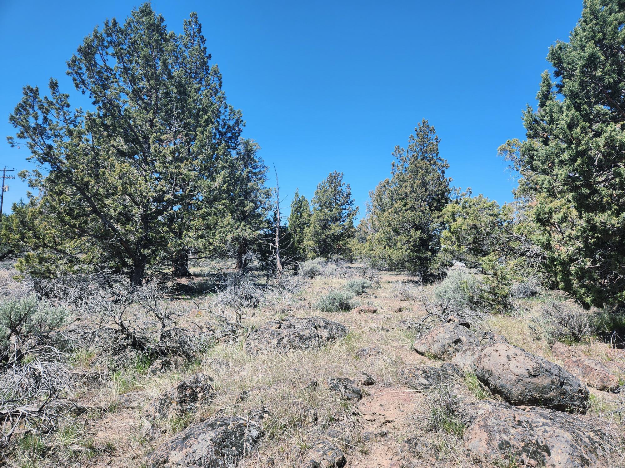 Whispering Pines - Land