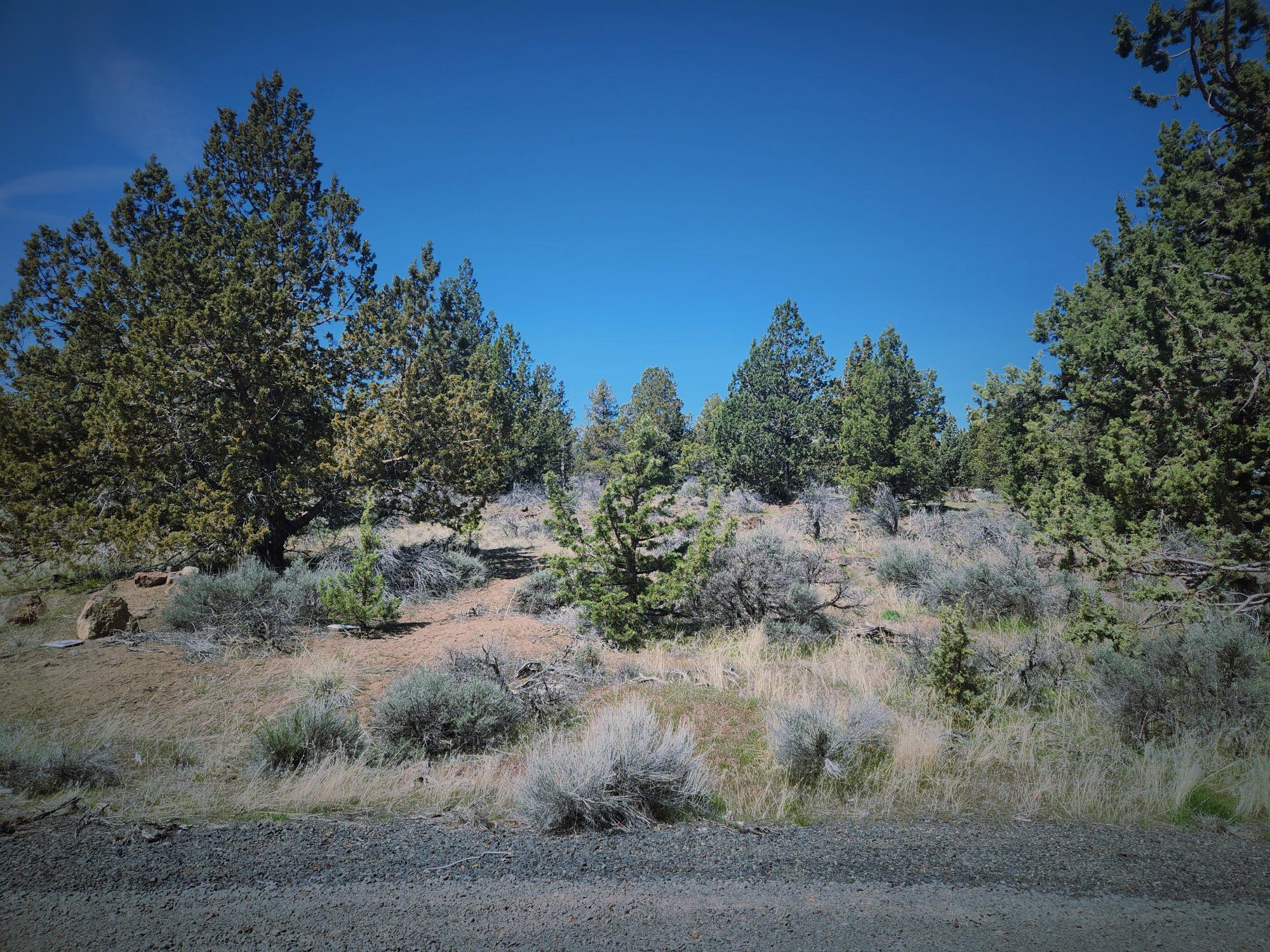 Whispering Pines - Land