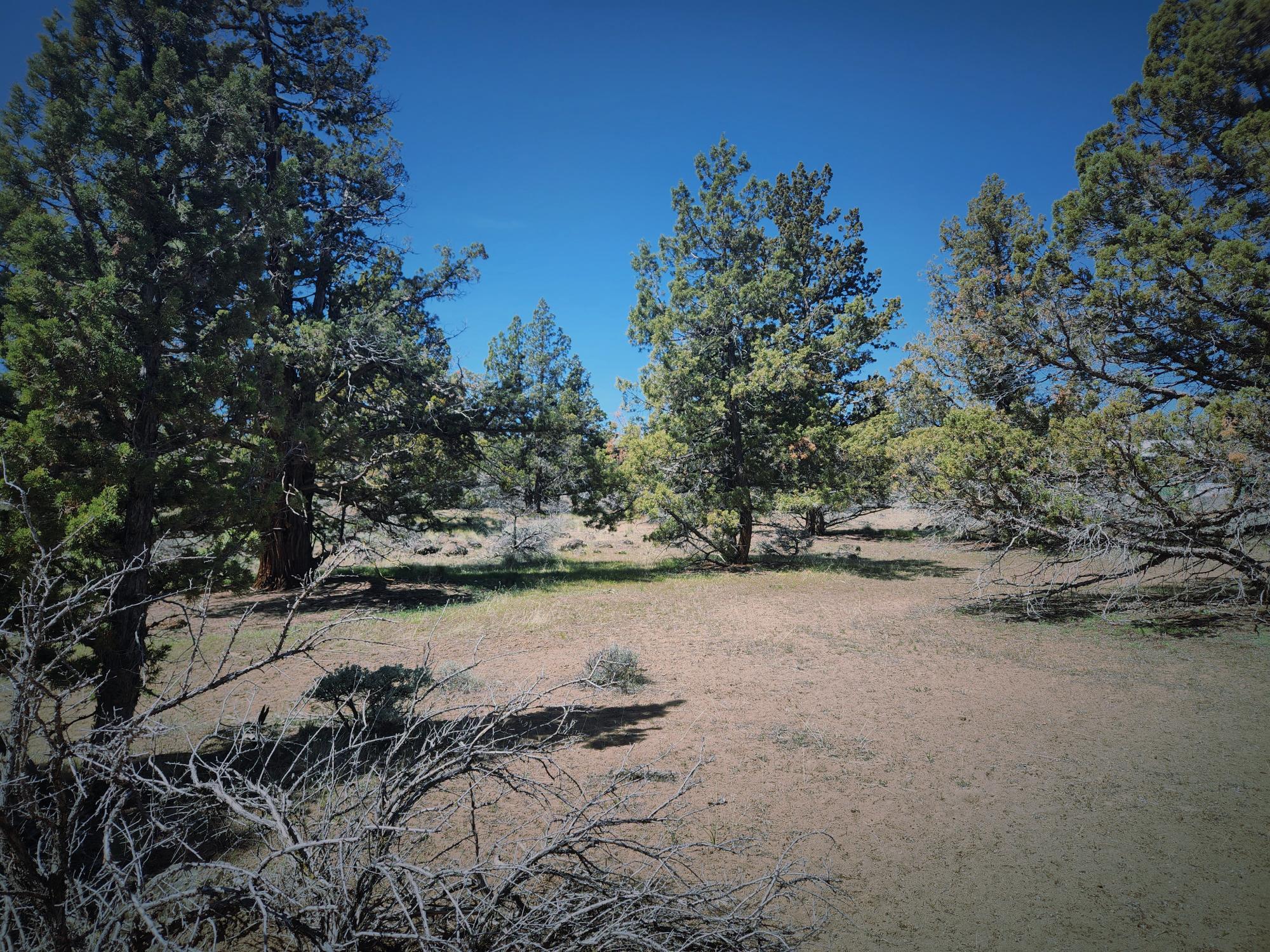 Whispering Pines - Land