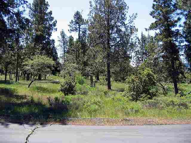 Nice Level Lot With Good Mountain Views. Seller Will Look At All Offers. Short Sale! Great Deal, Level Lot, Easy Build. Build Your Dream Home.