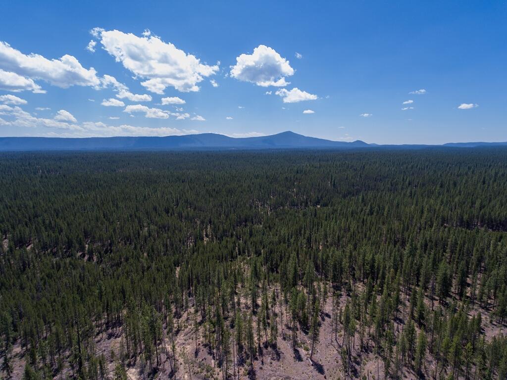 Introducing Triangle T, a total of 3 lots spanning 160-acres of land located in the heart of Central Oregon's recreational paradise. This exceptional property is located in the triangle between Hwy 97, Hwy 58, and Crescent Cut Off Road, & offers endless possibilities for residential or recreational development. With deeded access directly from Hwy 97 & the possibility of 3 home sites, Triangle T presents an ideal setting for a family compound, ensuring a lasting legacy for future generations. The center lot of the ''T'' totals 80 acres & has a well in place & septic approval. Power is available via Midstate Electric Co-op. With views of O'Dell Butte this is the prime home site.40 acres East & 40 acres West provide a buffer from the adjoining properties and have the potential to be divided off or developed. Elk and deer are seen regularly & the property qualifies for the 40-acre minimum for Landowner Preference hunting tags. Buyers should verify with OR Dept of Fish & Wildlife.