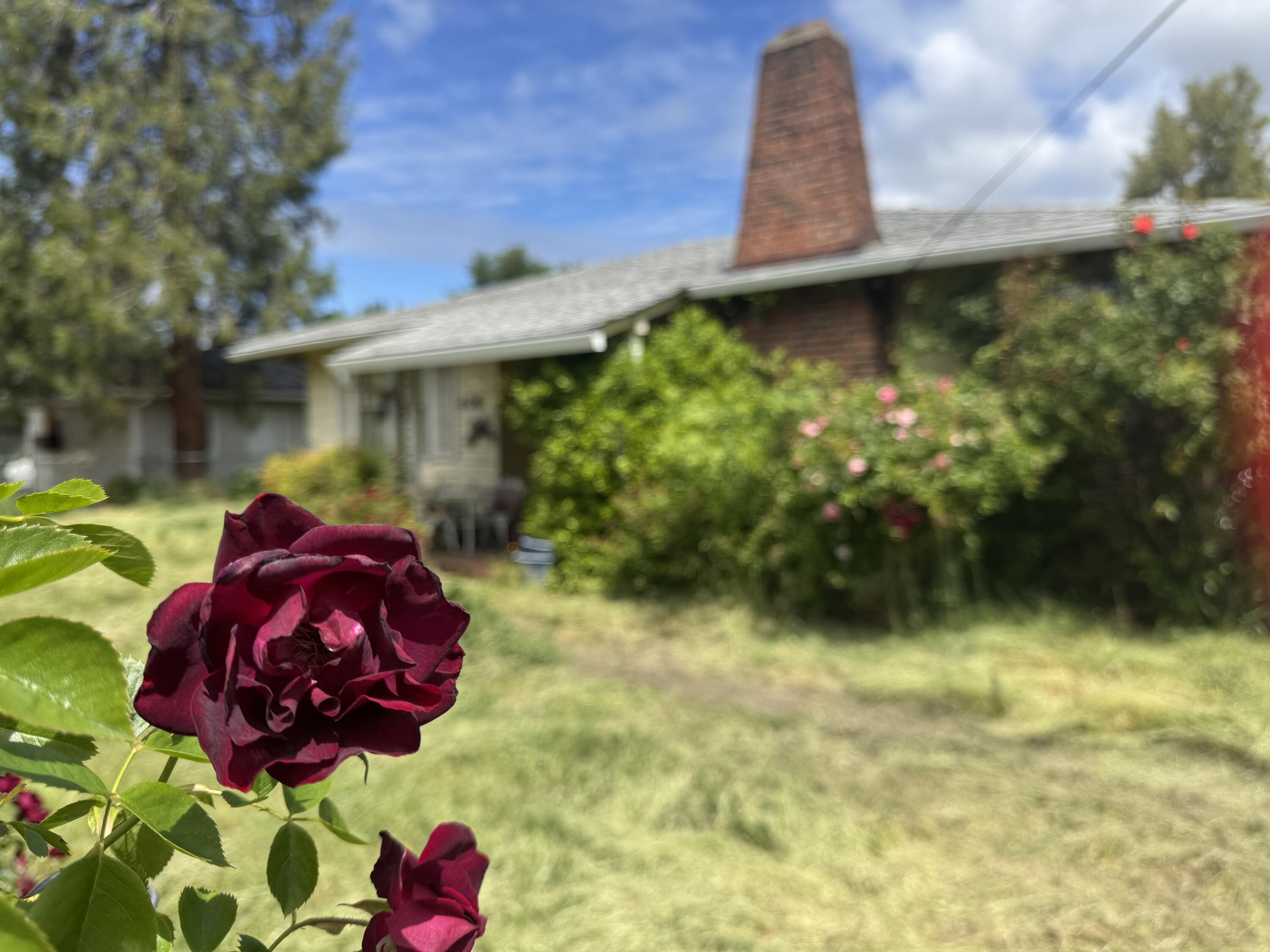 This original tiny home was built in 1952, can use some TLC. Good location to downtown Grants Pass, banks, shopping, and close to parks. Open kitchen, two bedrooms, indoor utility room, and can be financed conventional. Lot is .21 of an acre, completely fenced, mature roses, with off street parking in the back of the house. Assessed value is $235,000.