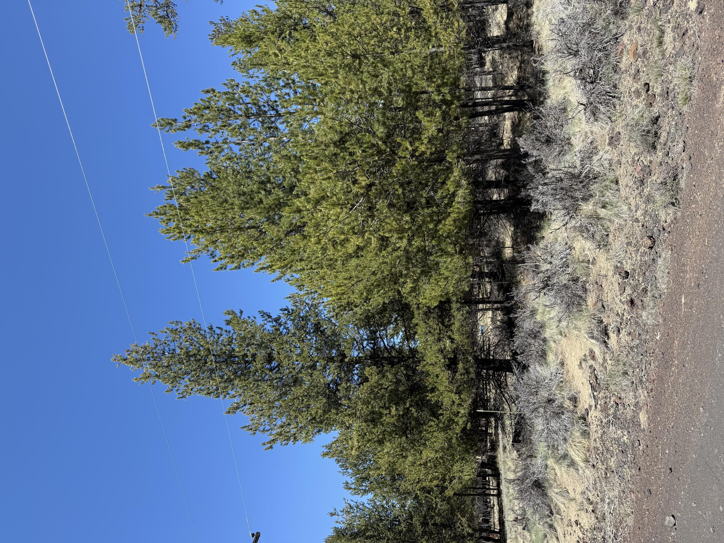 Discover your own slice of Central Oregon paradise! This peaceful 1-acre parcel just outside La Pine offers quiet surroundings and endless opportunities for outdoor adventure. Located just ½ mile off Hwy 31, this property provides convenient year-round access while maintaining a private, secluded feel. Ideal for those who love hunting, riding, and exploring, with miles of public lands and recreation nearby. A perfect spot to build your getaway cabin or use as a basecamp for all your high desert adventures.
